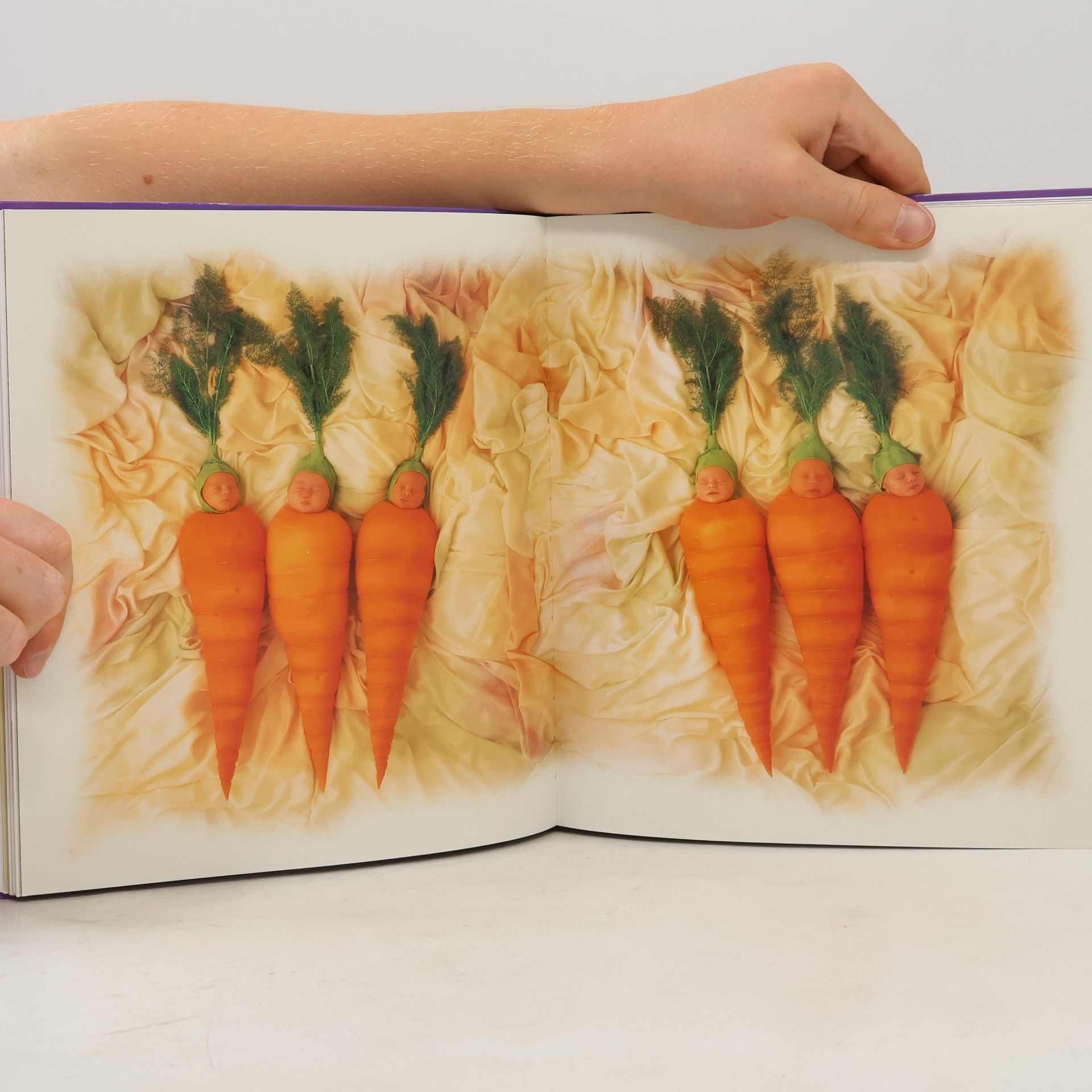 Anne Geddes Le jardin des fées