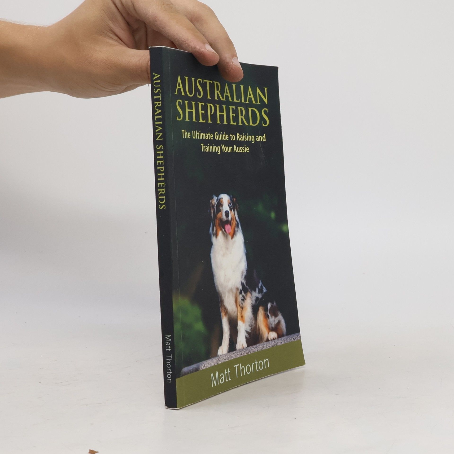 Matt Thorton Australian Shepherds