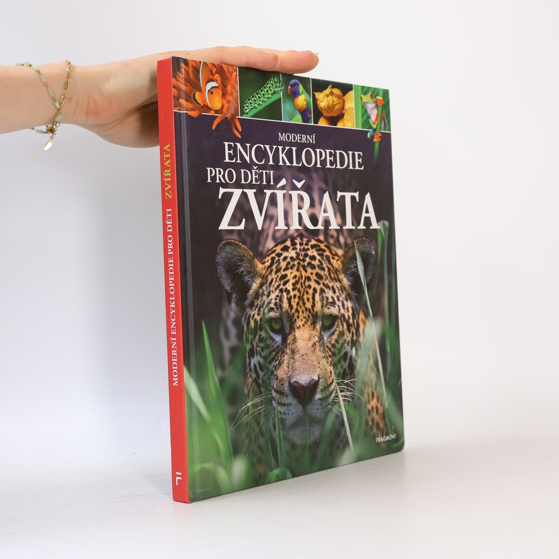 Michael Leach Moderní encyklopedie pro děti - Zvířata