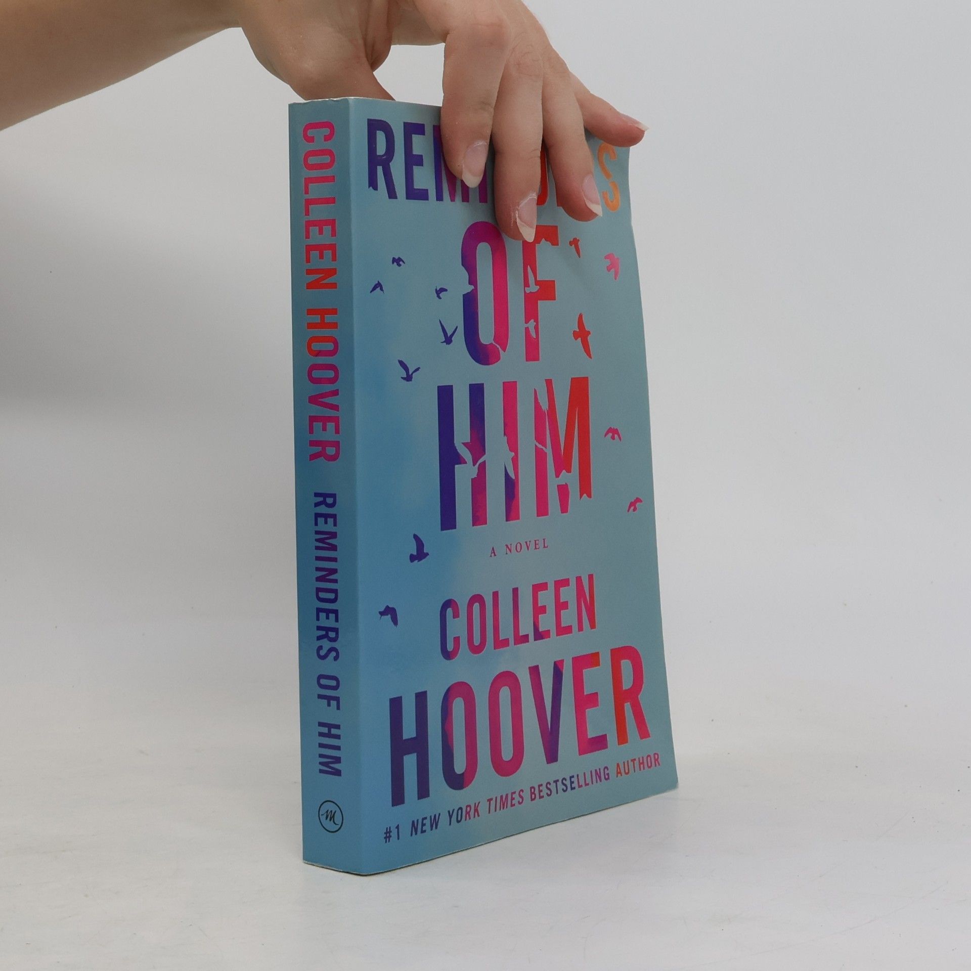 Colleen Hoover Reminders of him