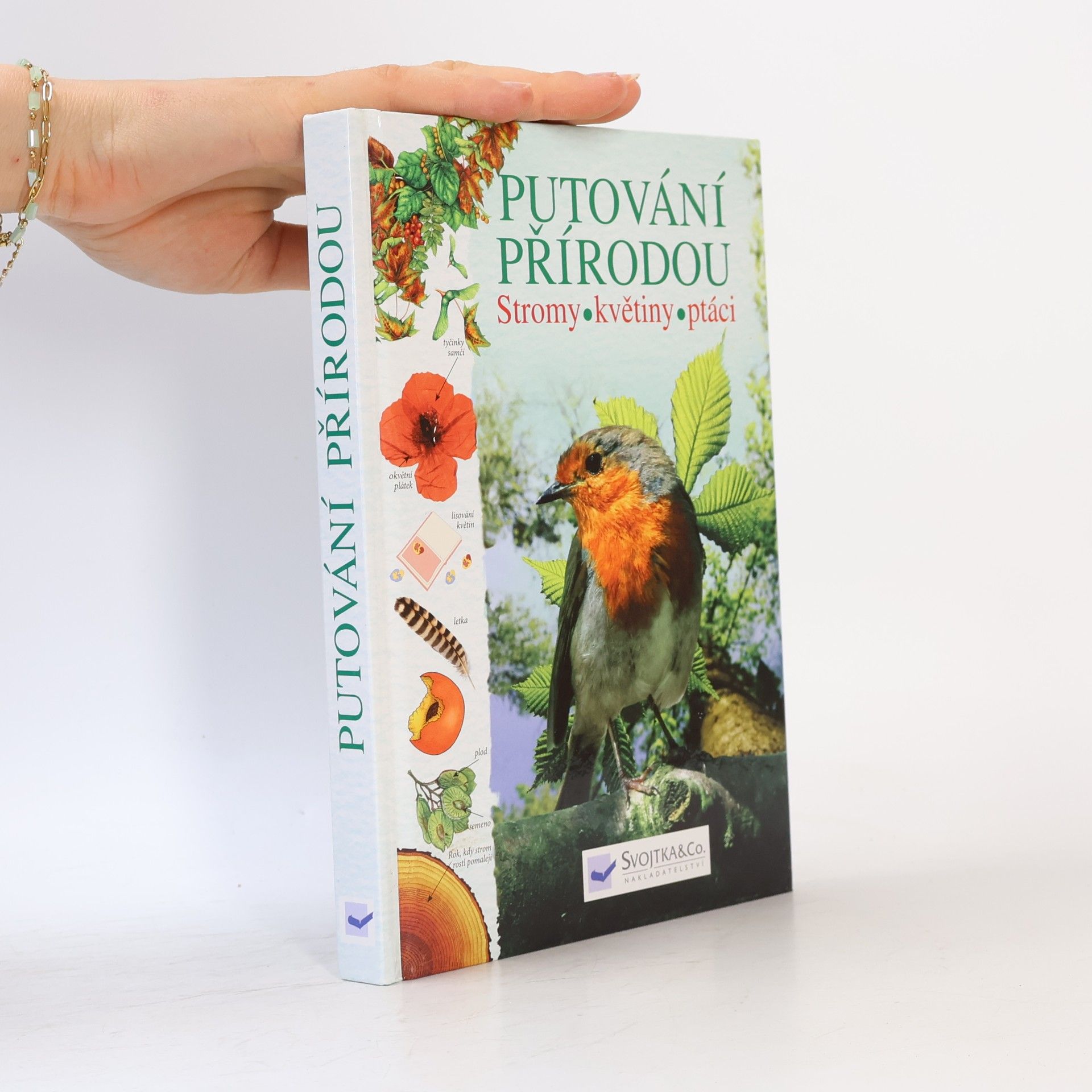 Kolektív autorov Putování přírodou: Stromy, květiny, ptáci