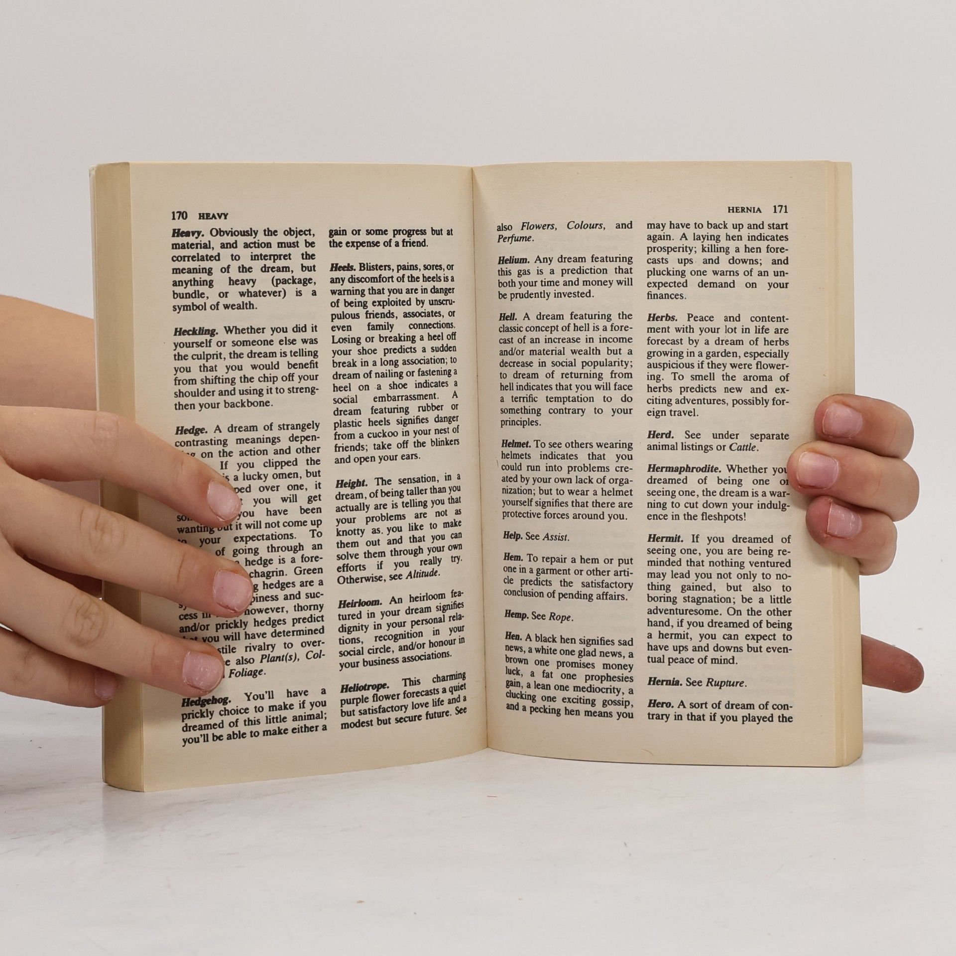 Stearn Robinson The Dreamer's Dictionary