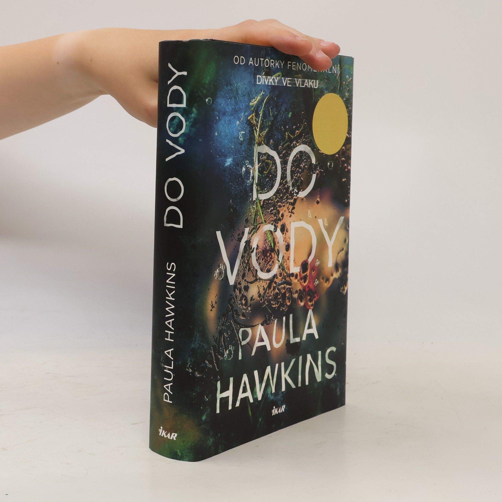Paula Hawkins Do vody