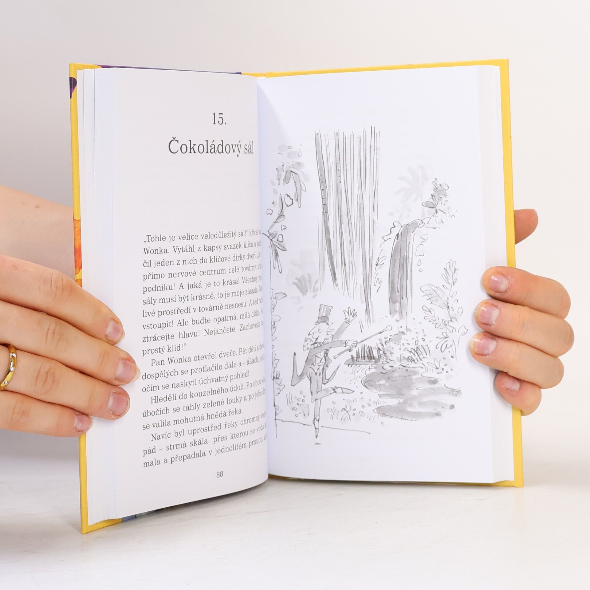 Roald Dahl Karlík a továrna na čokoládu