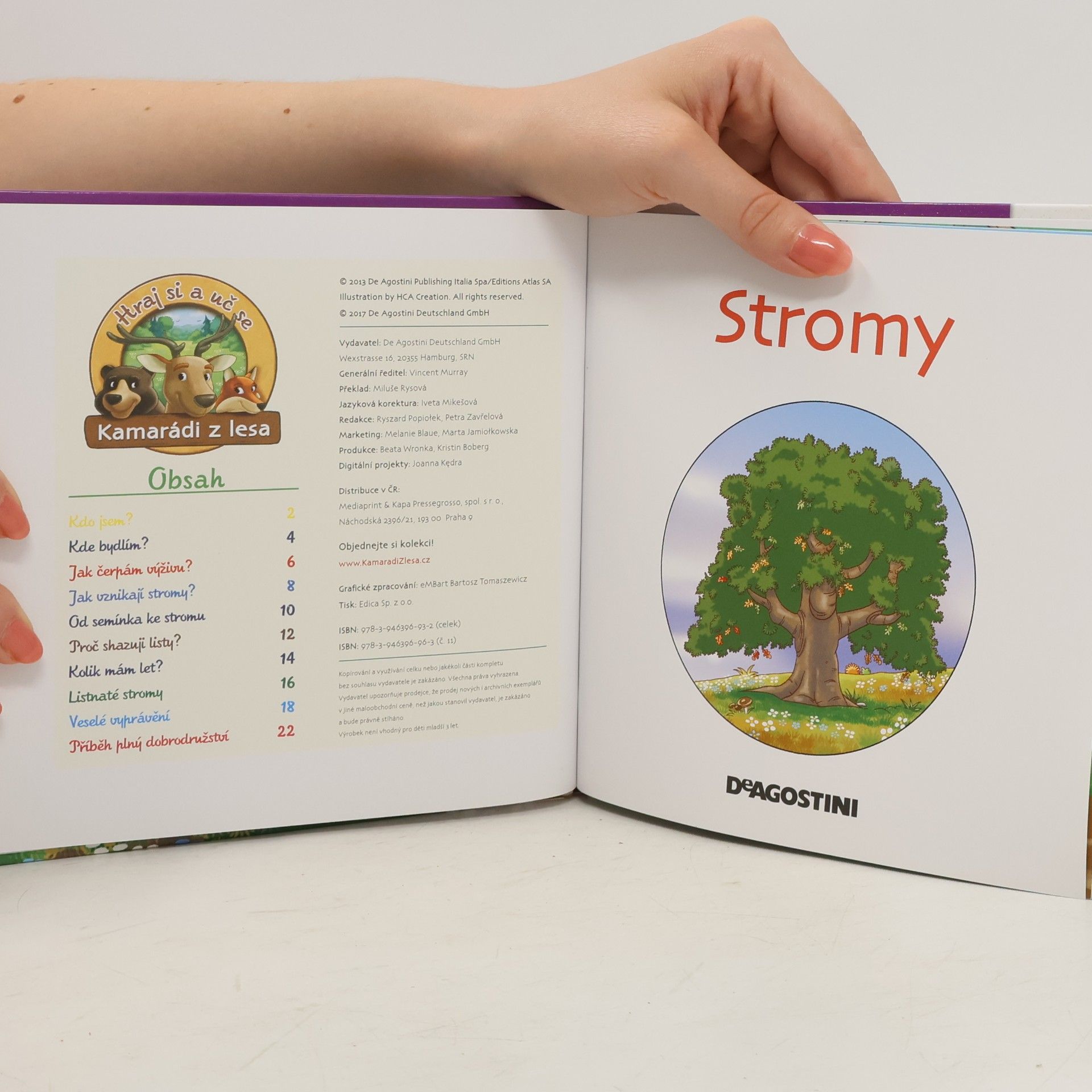 Various authors Rostliny v lese 11. Stromy