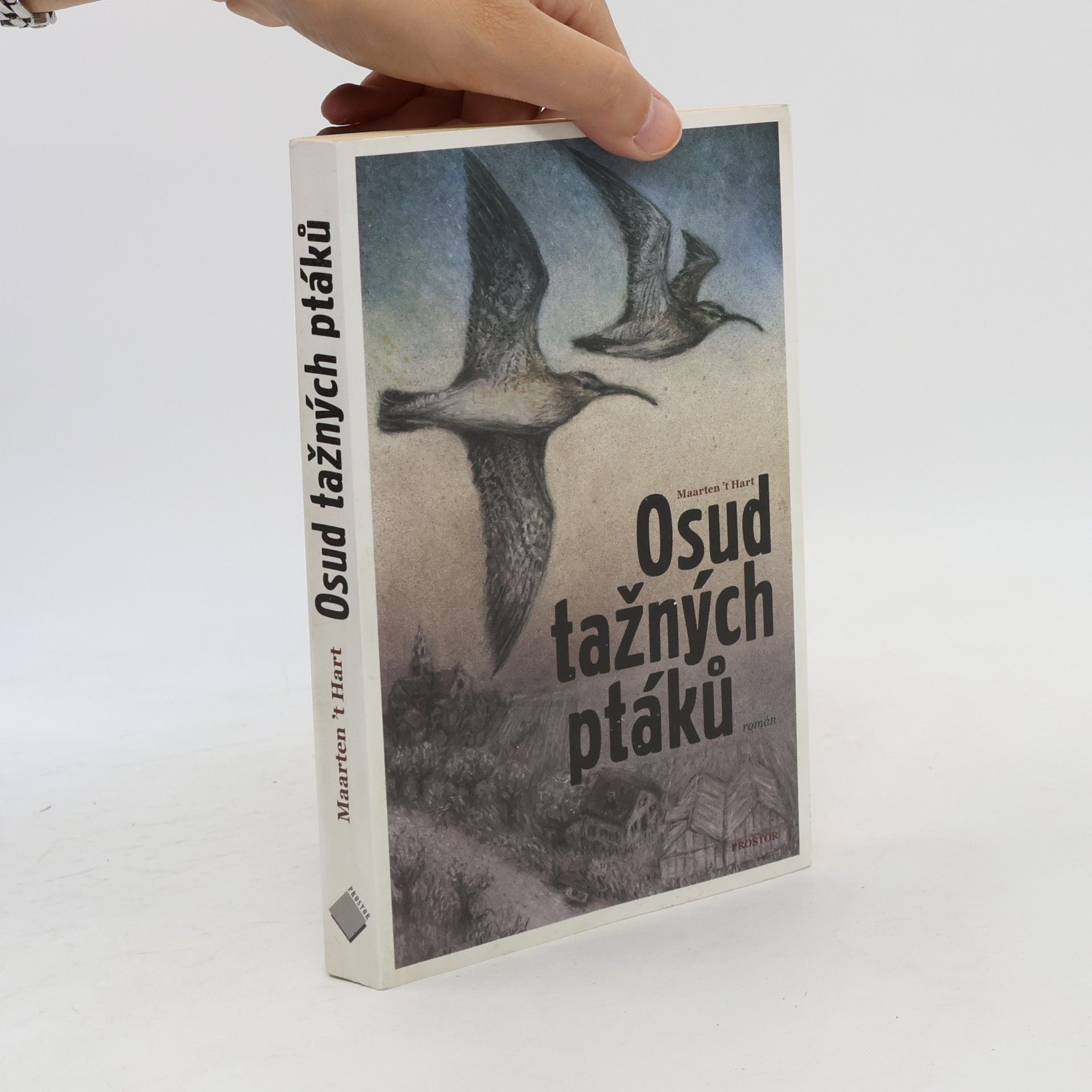 Maarten ’t Hart Osud tažných ptáků