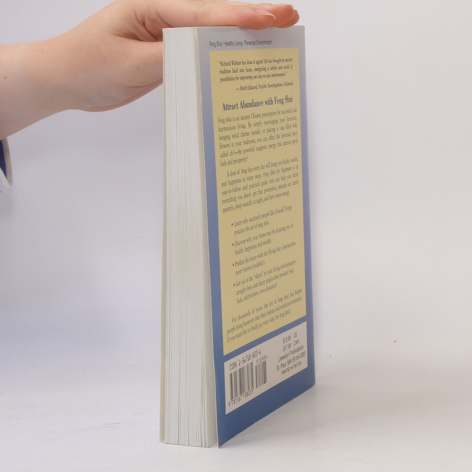 Richard Webster Feng Shui For Beginners