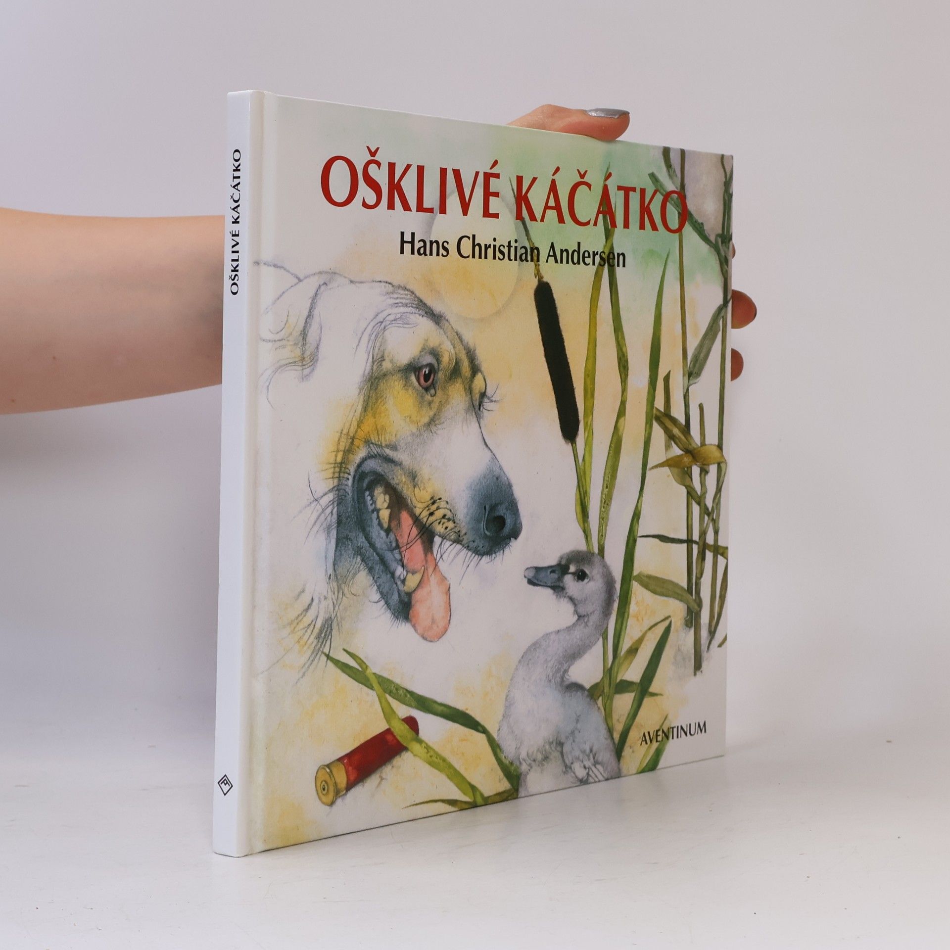Hans Christian Andersen Ošklivé káčátko