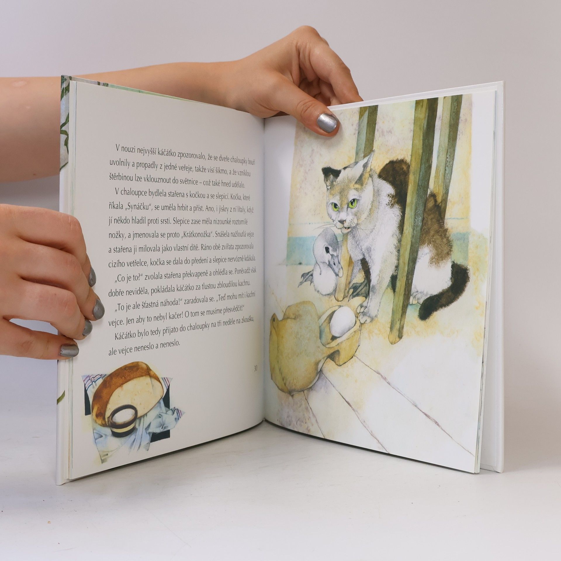 Hans-Christian Andersen Ošklivé káčátko