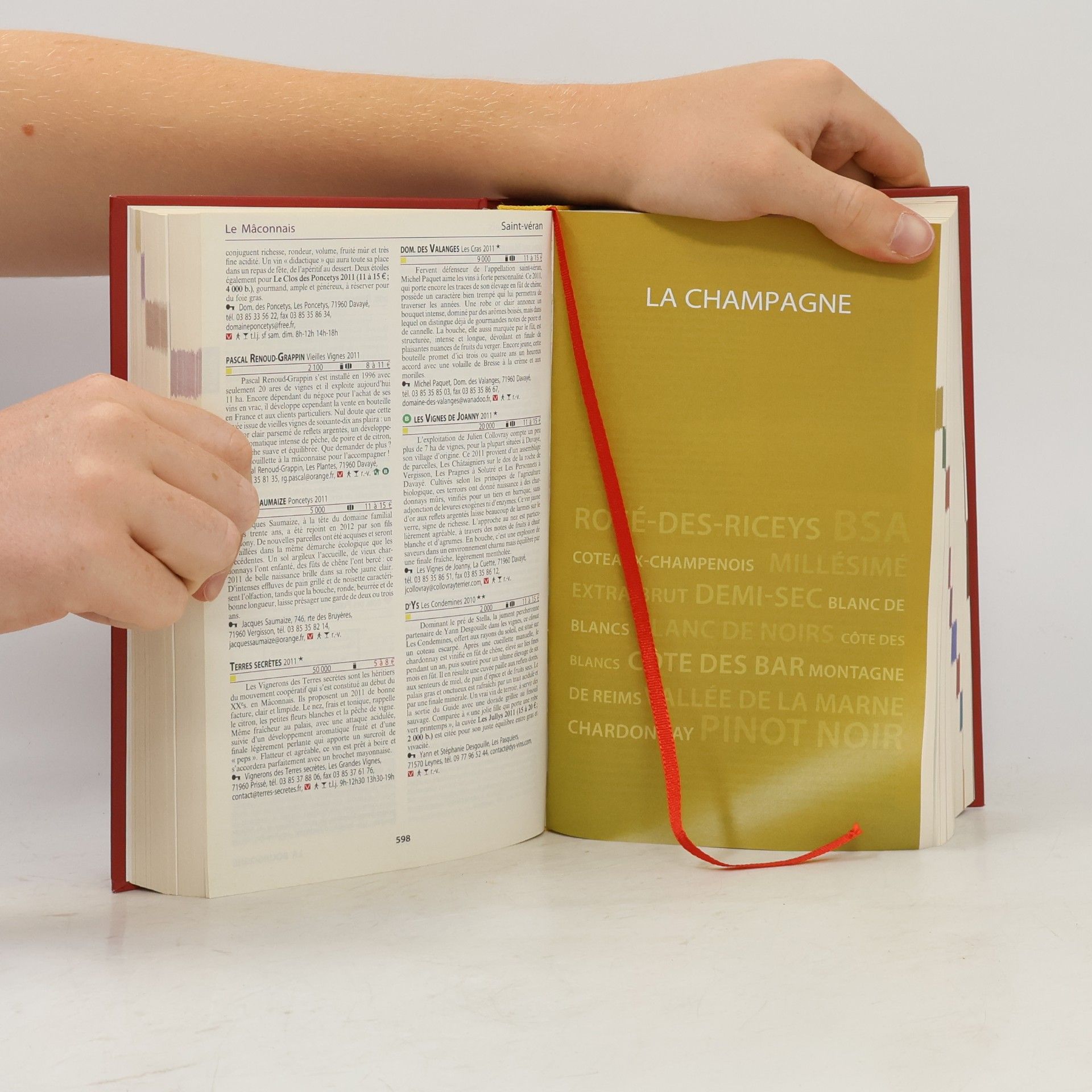 Stéphane Rosa Guide Hachette des vins 2014