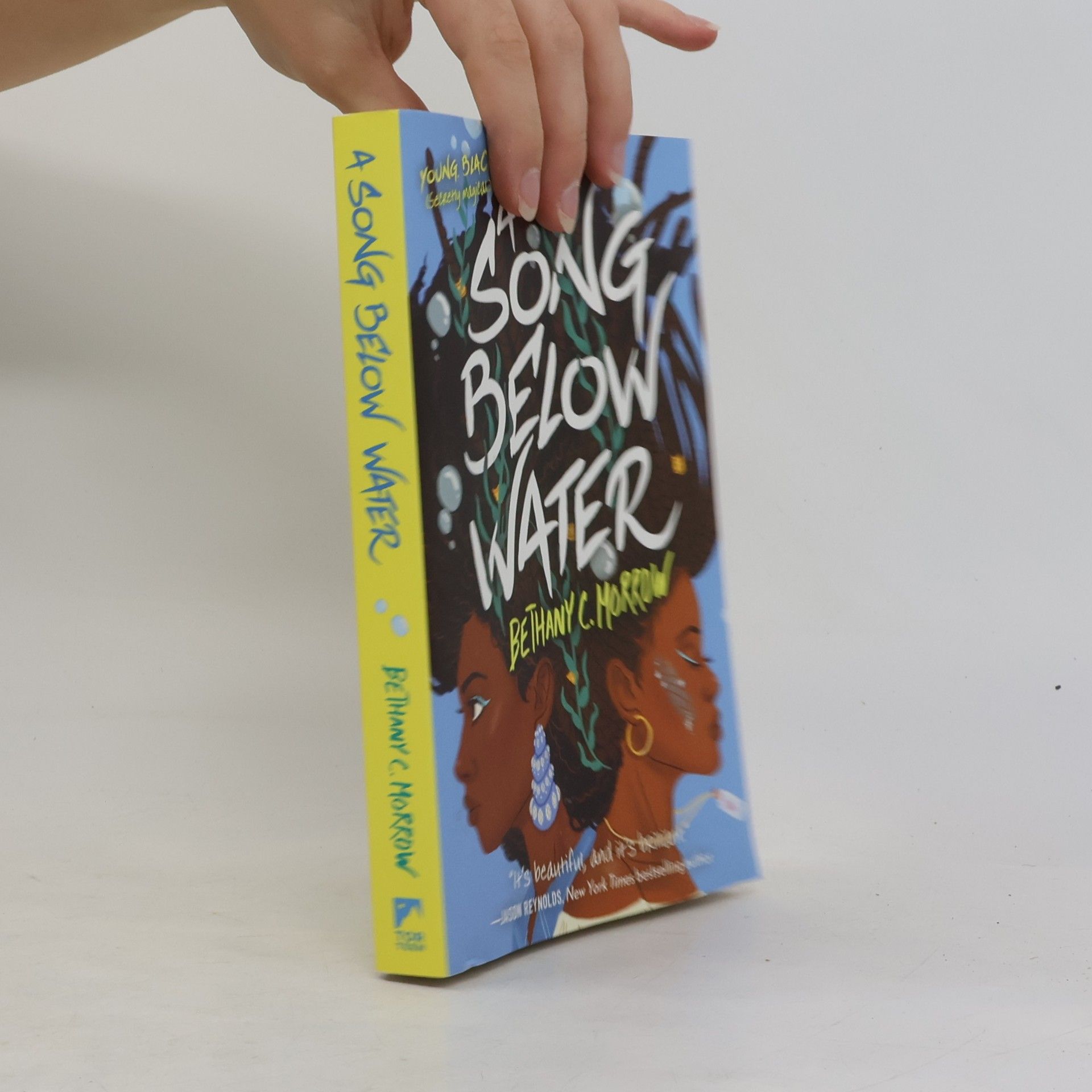 Bethany C. Morrow A Song Below Water