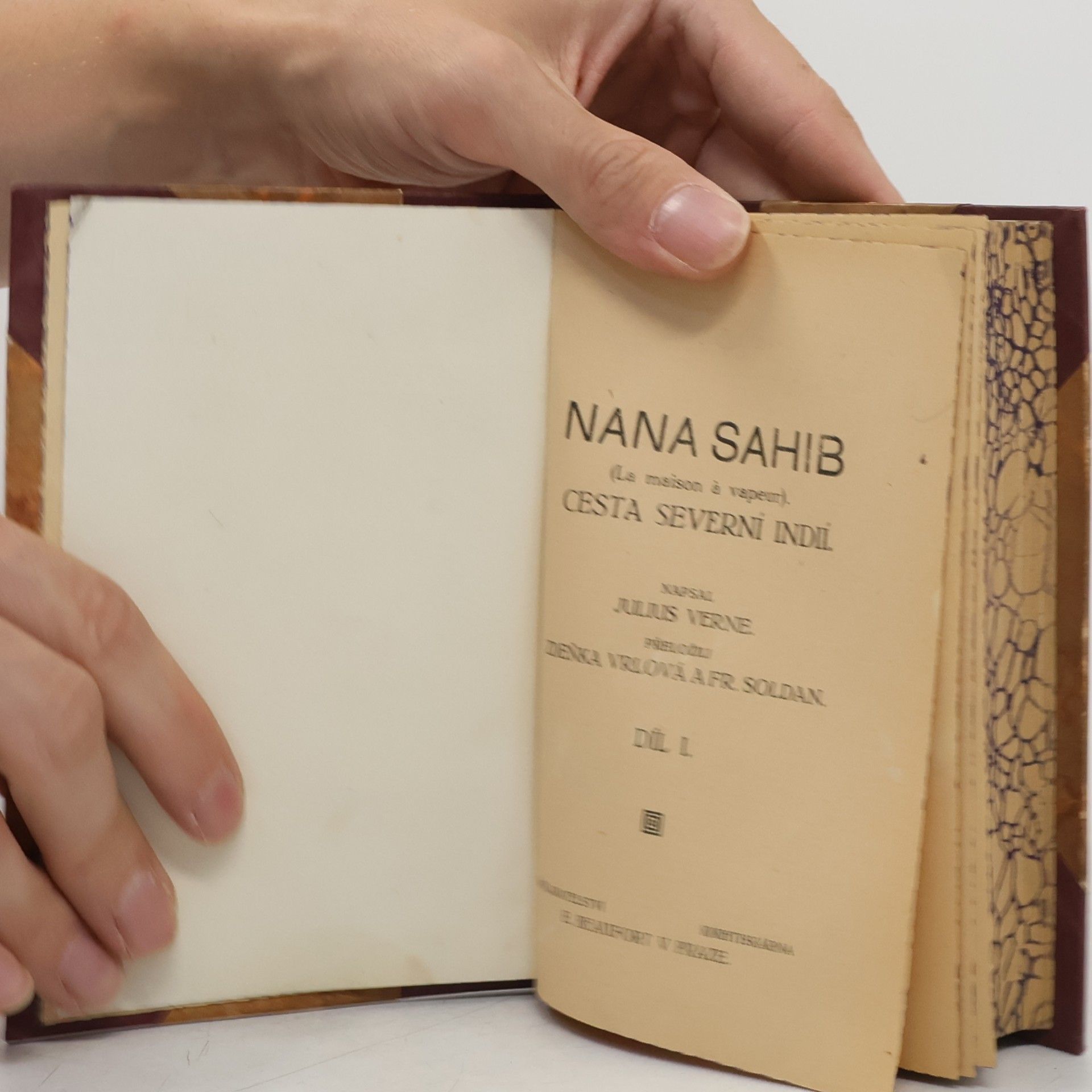 Jules Verne Nana Sahib I. Cesta severní Indií