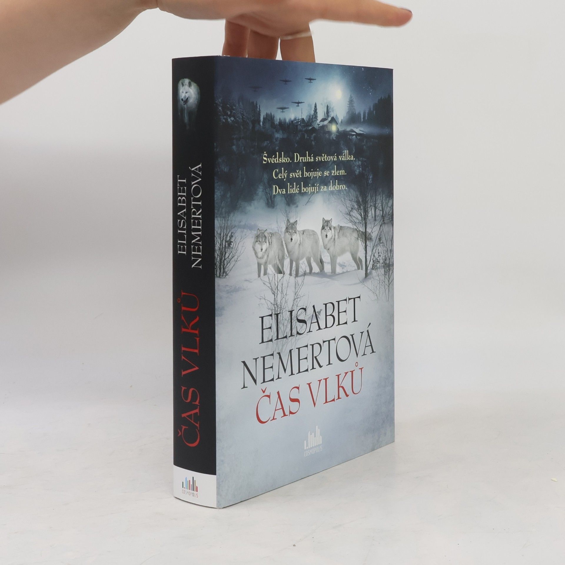 Jan Marek Šík Čas vlků