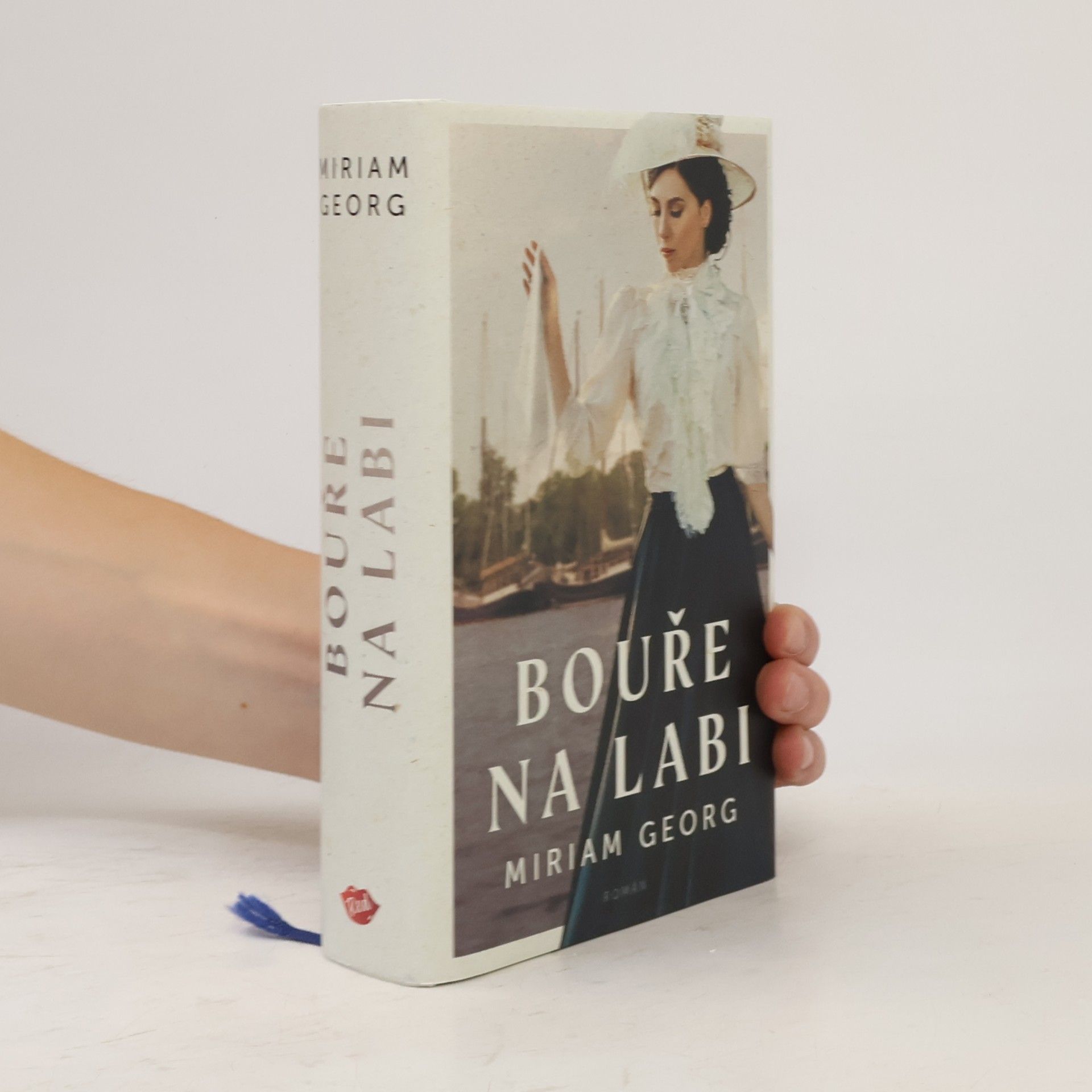 Miriam Georg Bouře na Labi: hanzovní rodinná sága