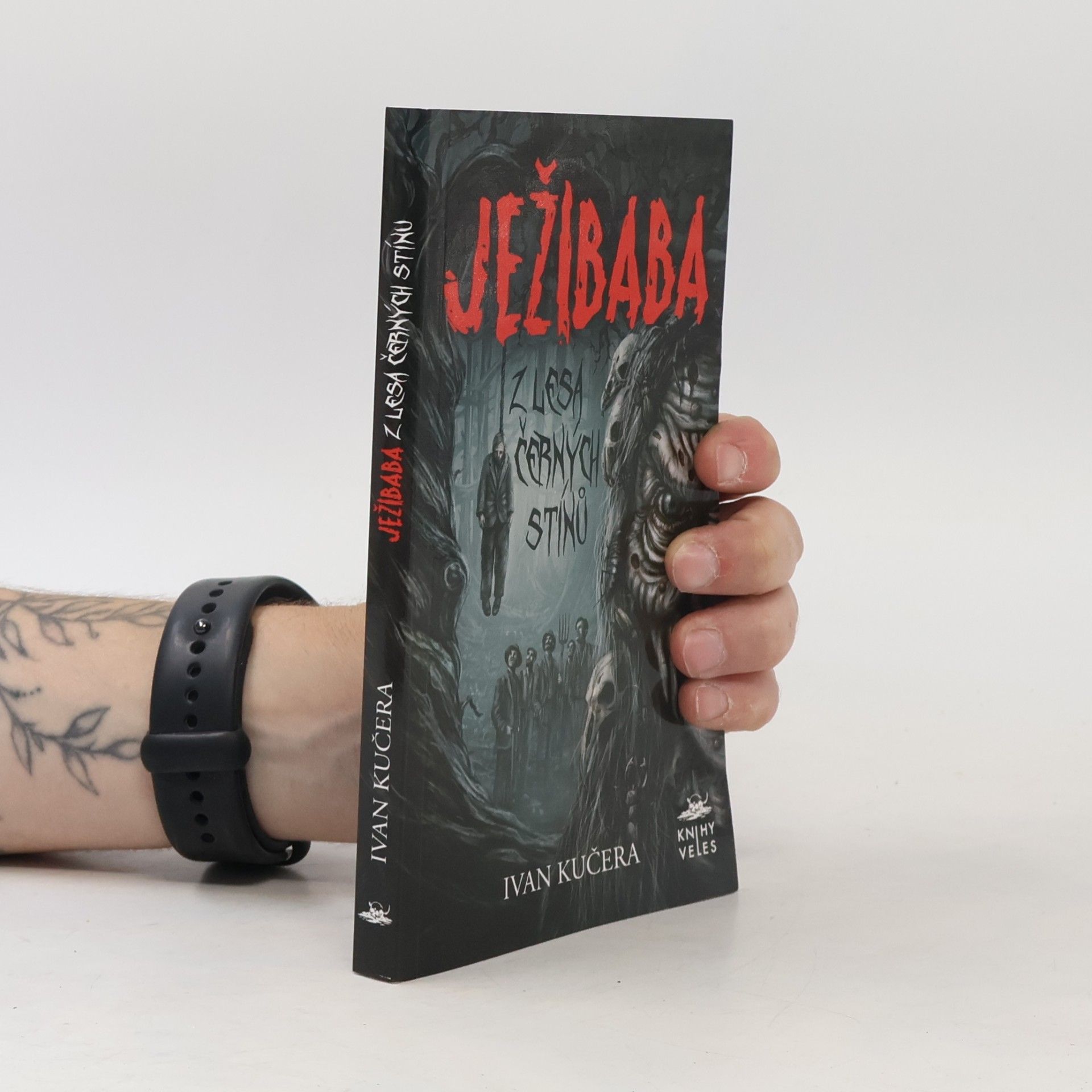 Ivan Kučera Ježibaba z Lesa černých stínů