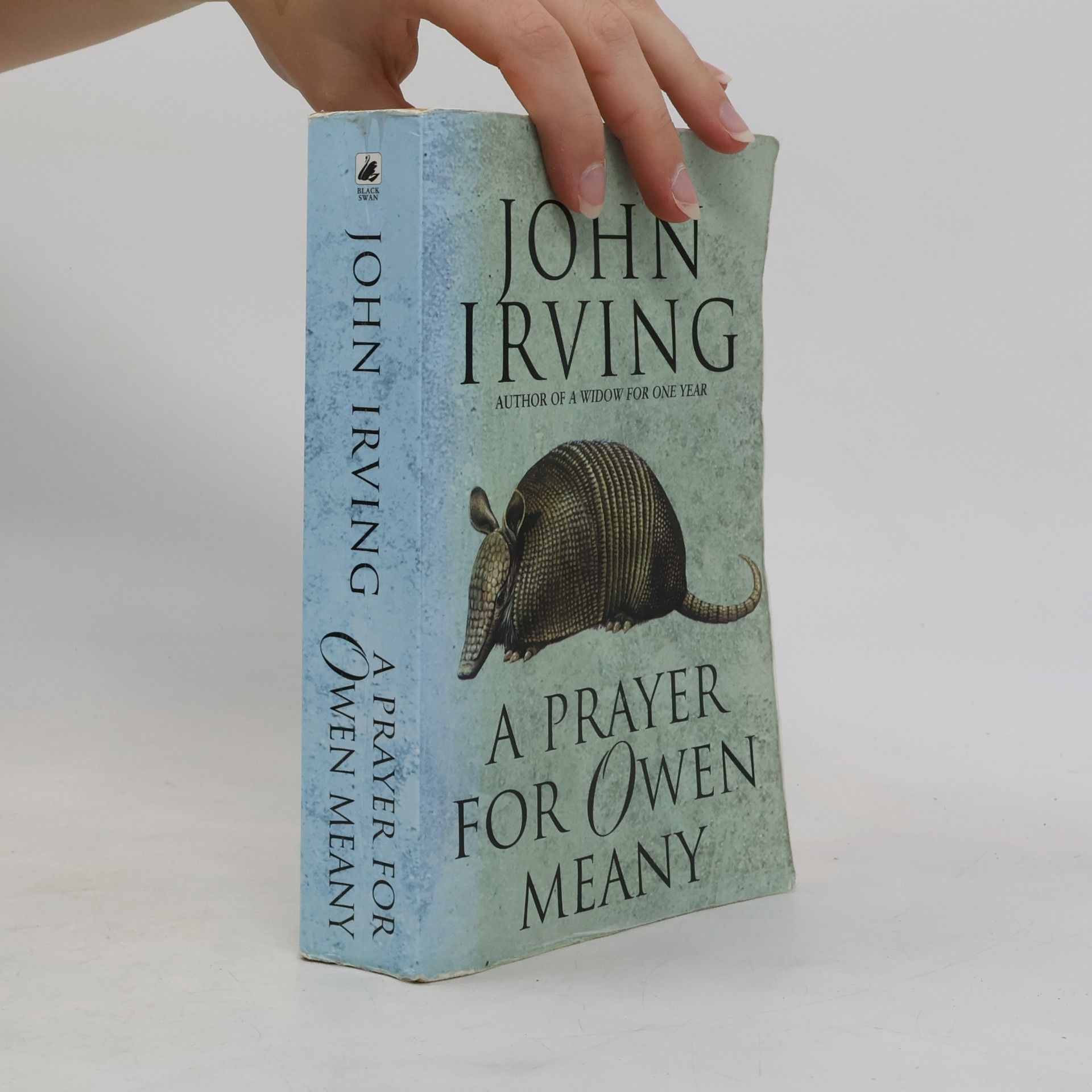 John Irving A Prayer for Owen Meany