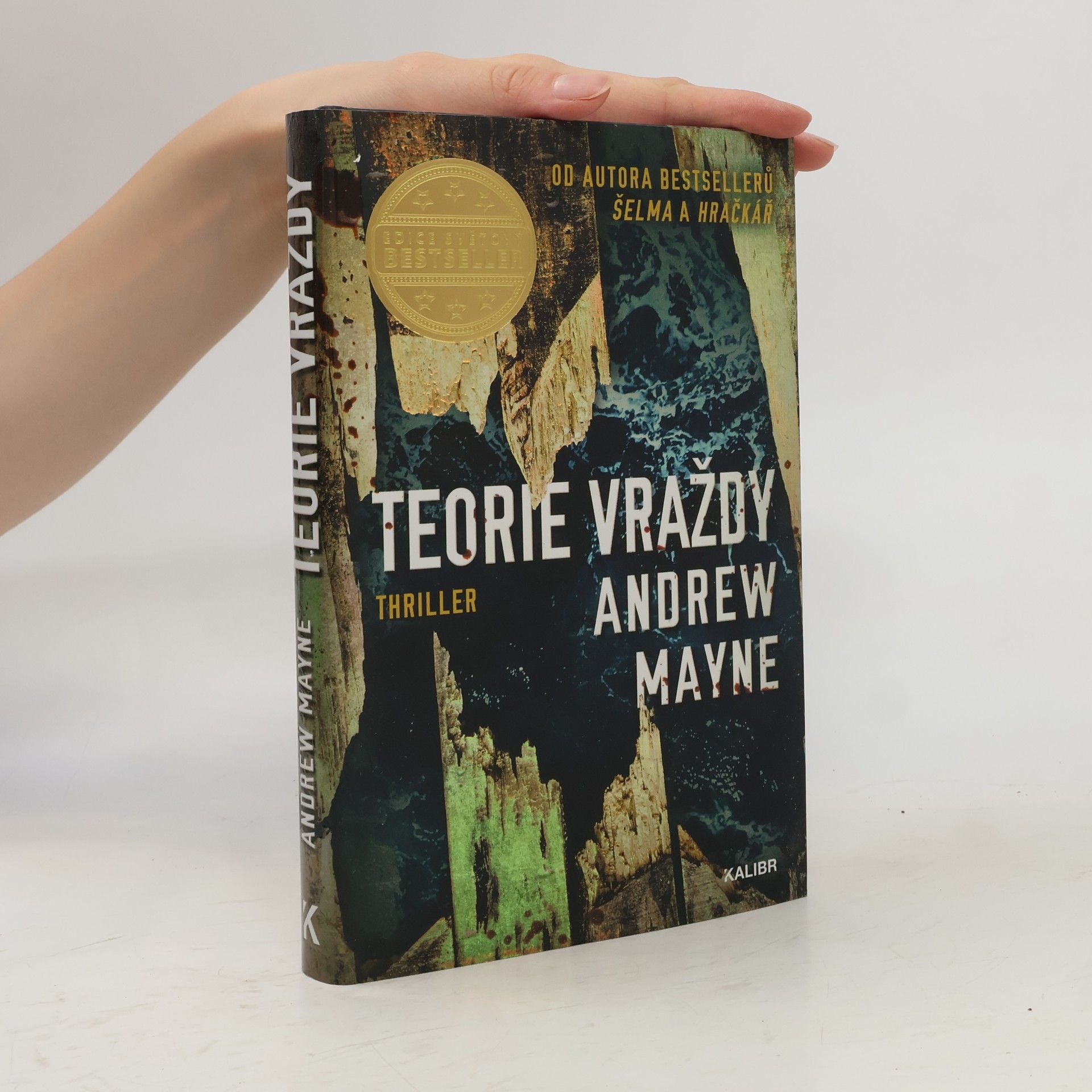 Andrew Mayne Teorie vraždy