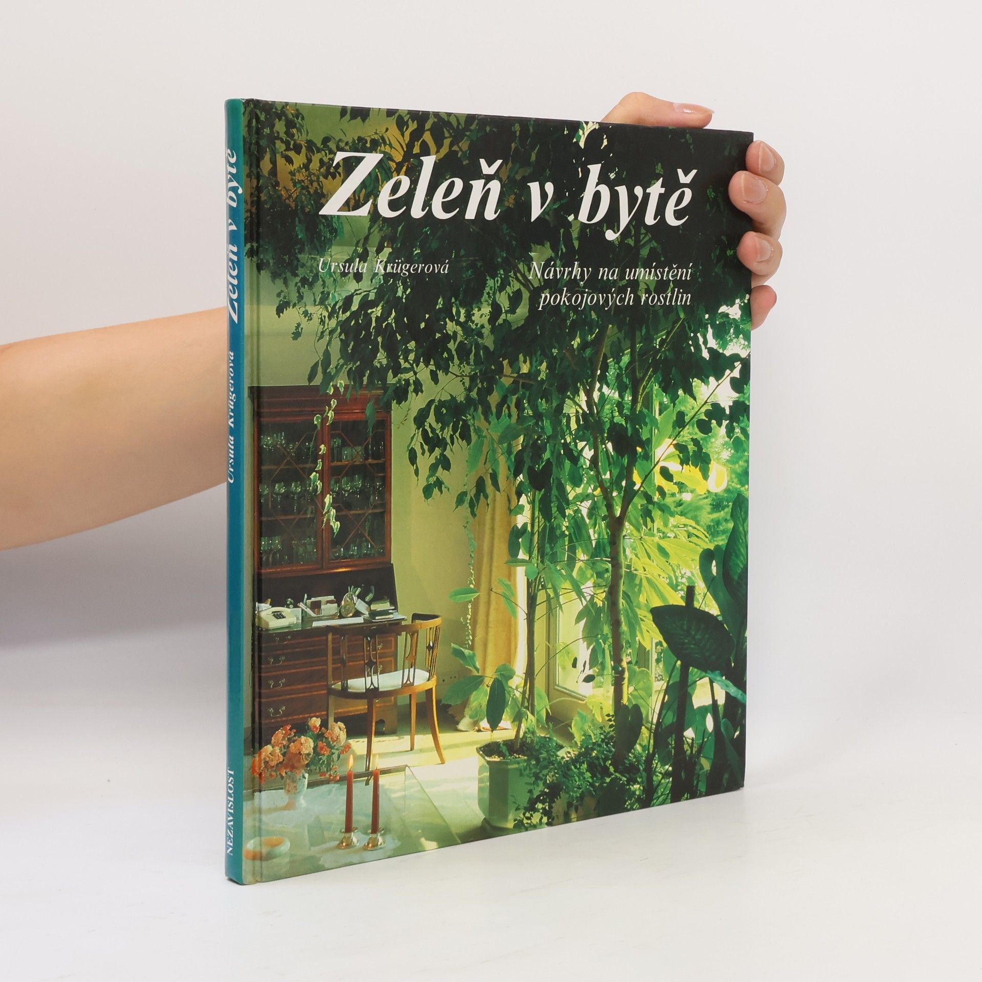 Ursula Krueger Zeleň v bytě. Návrhy na umístění pokojových rostlin