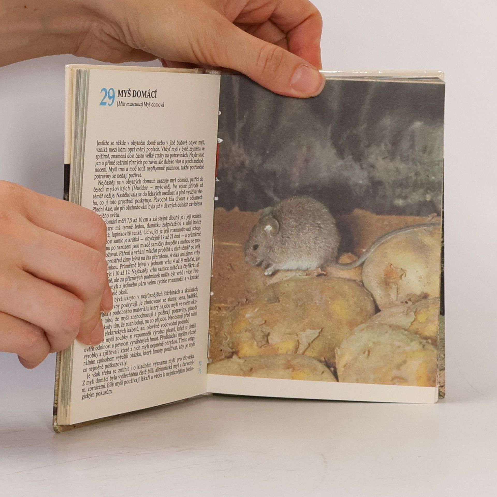 Miroslav Bouchner Kapesní atlas savců