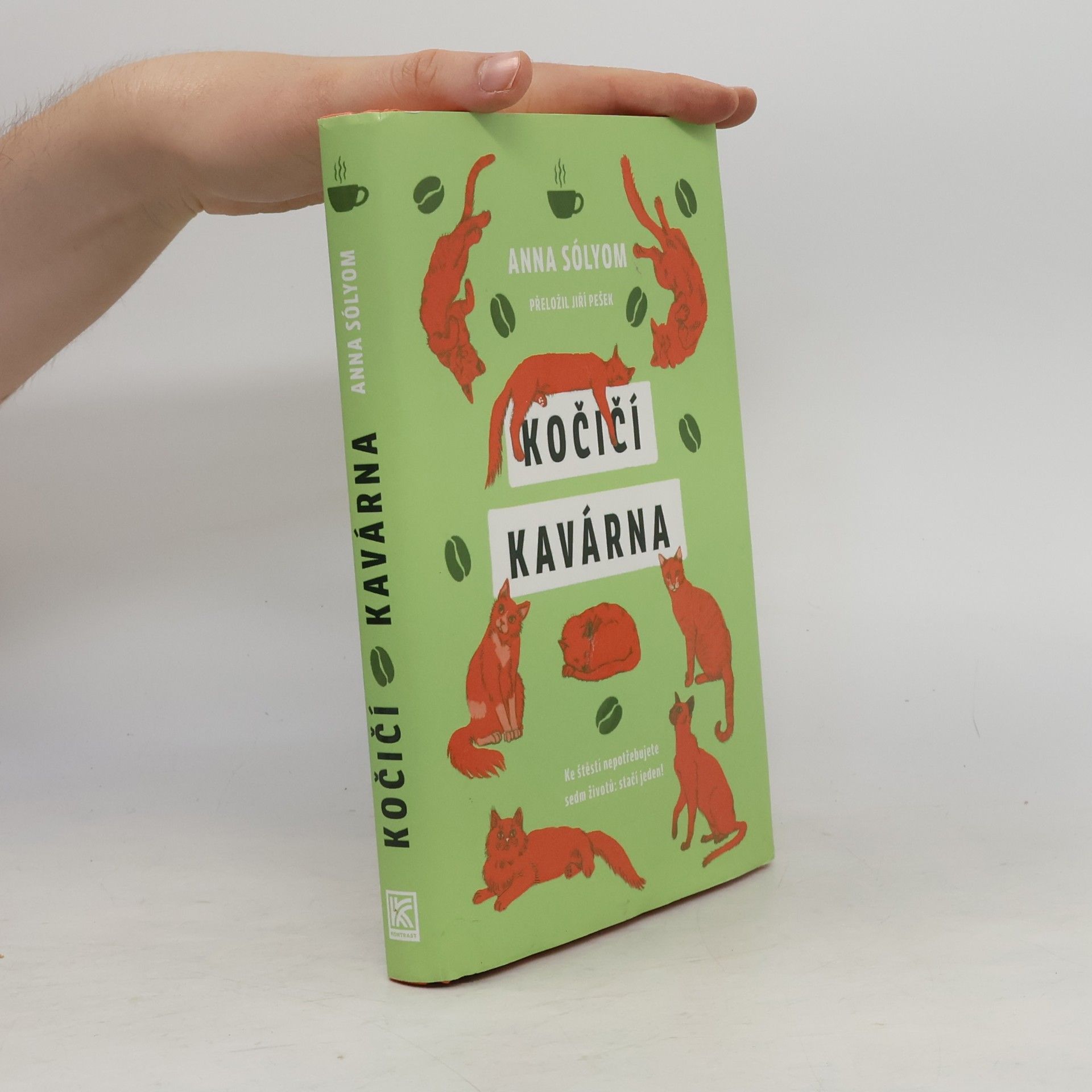 Anna Sólyom Kočičí kavárna