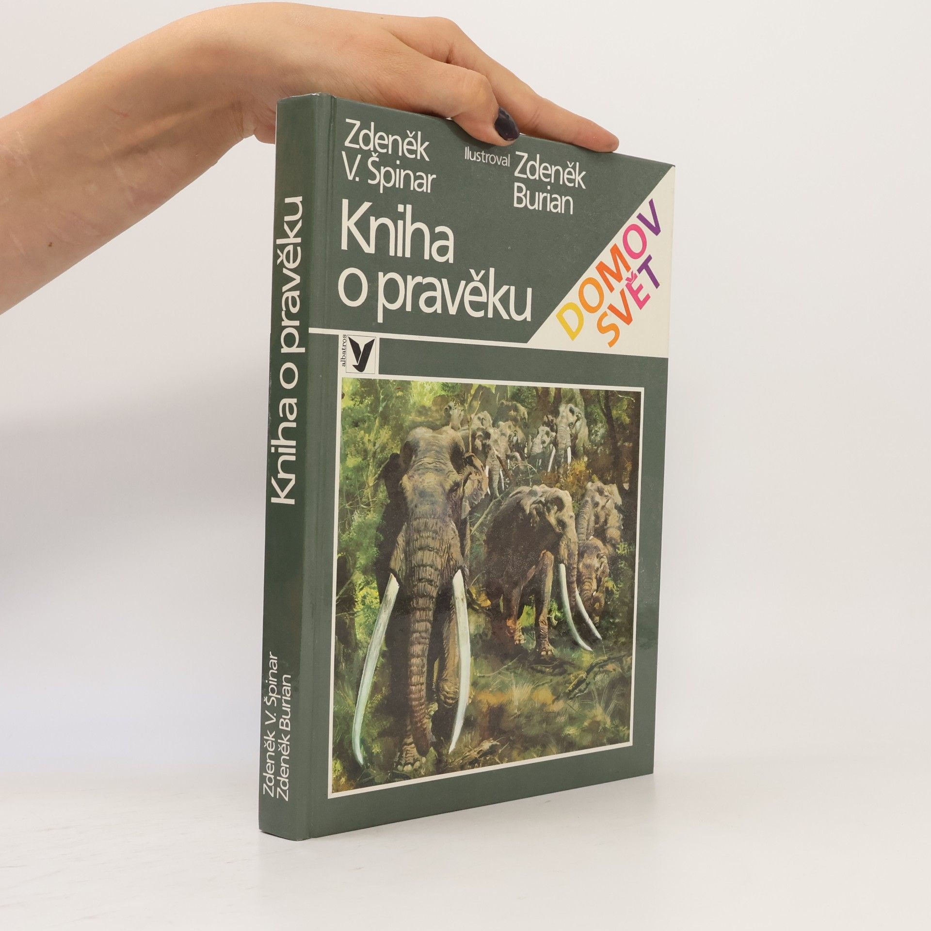 Kniha o pravěku