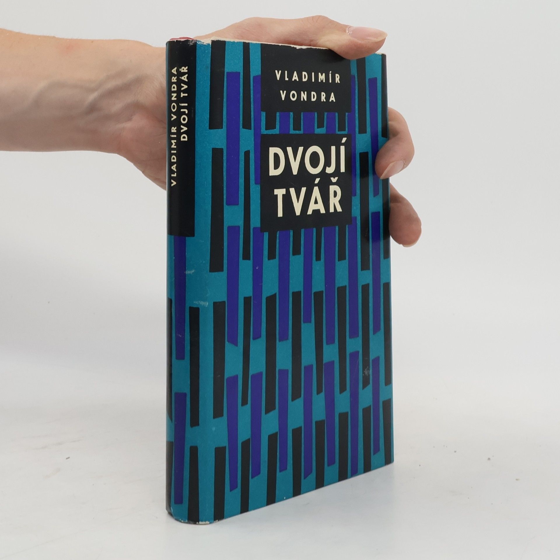 Vladimír Vondra Dvojí tvář