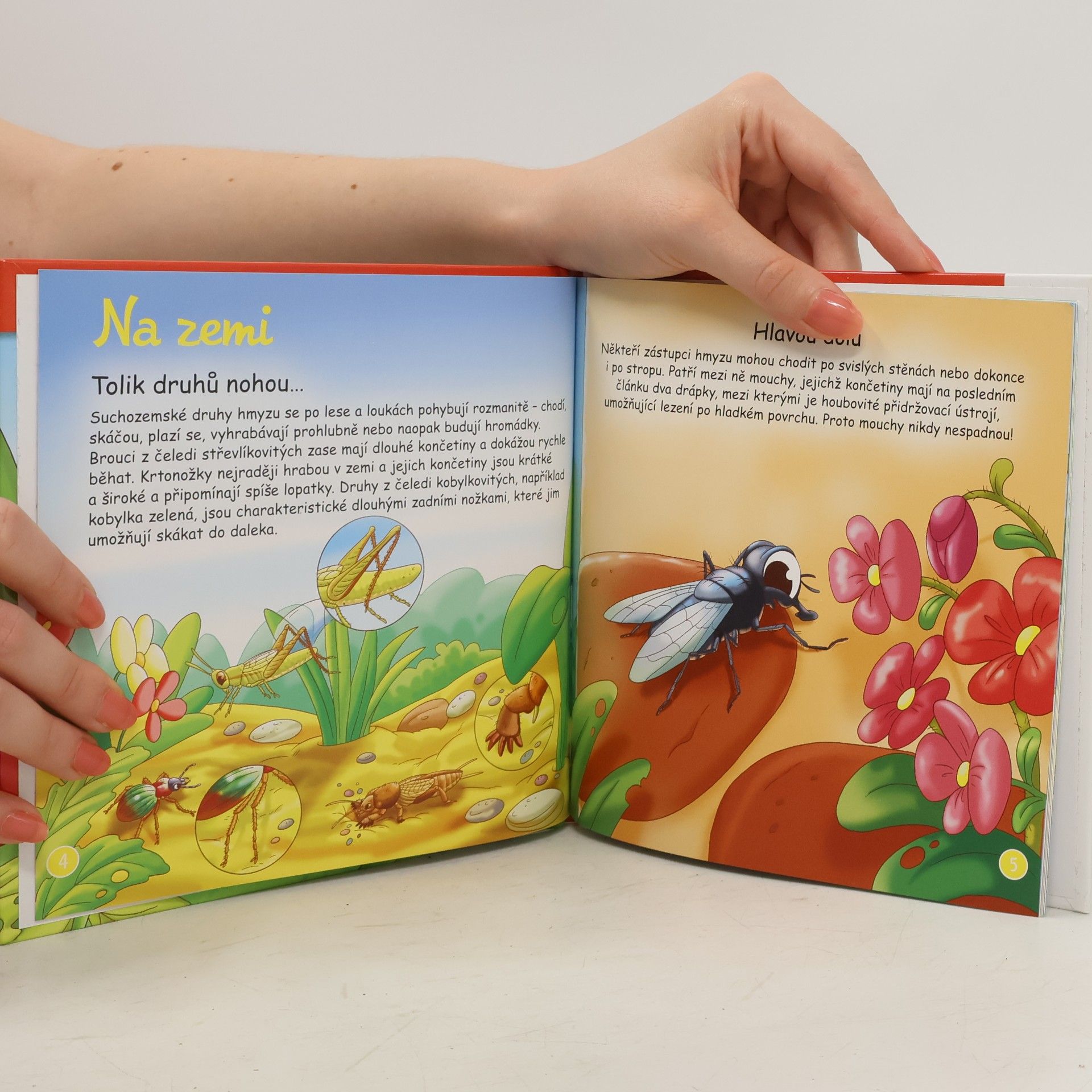 Autores varios Na okraji lesa 56. Hmyz