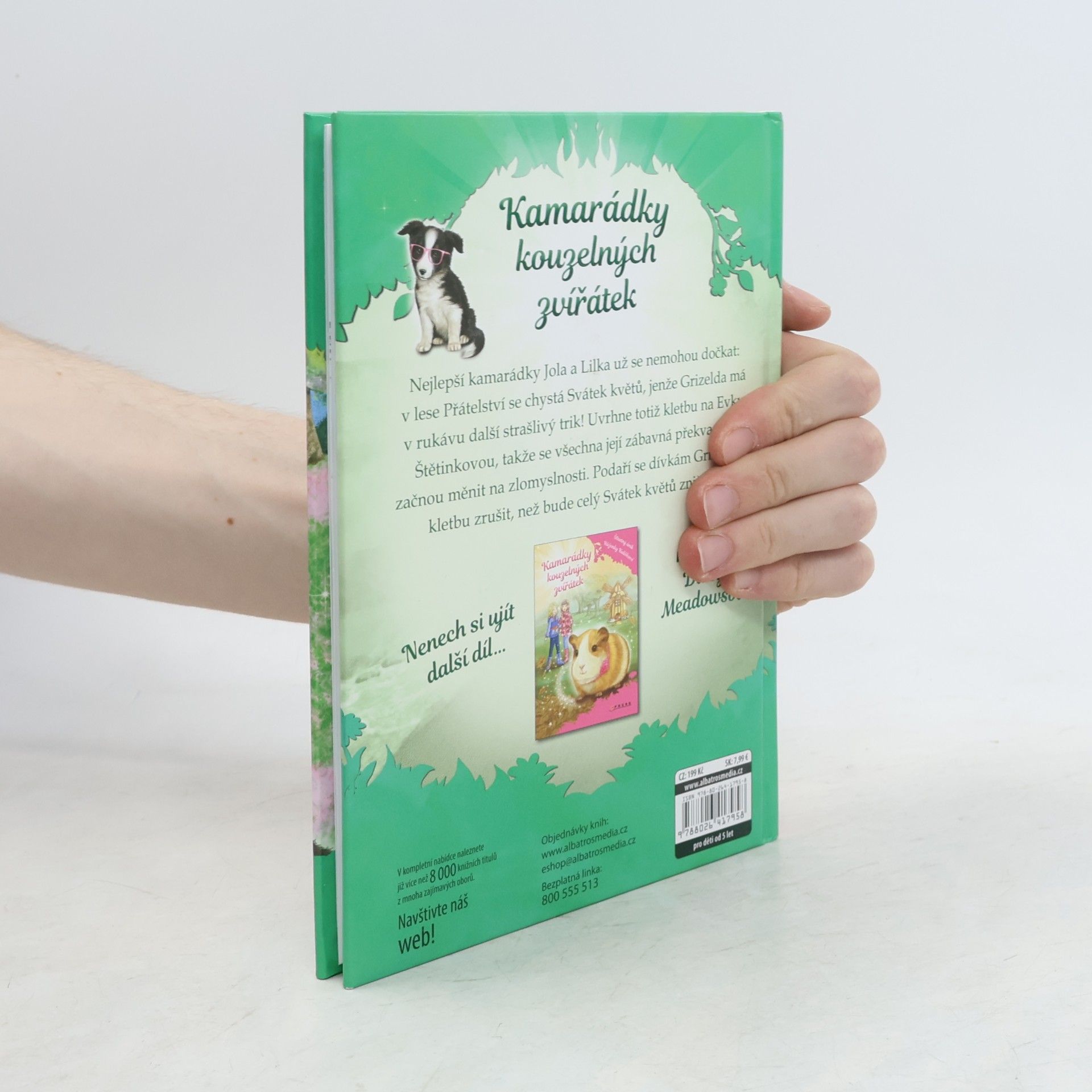 Daisy Meadows Velké překvapení Evky Štětinkové. Kamarádky kouzelných zvířátek