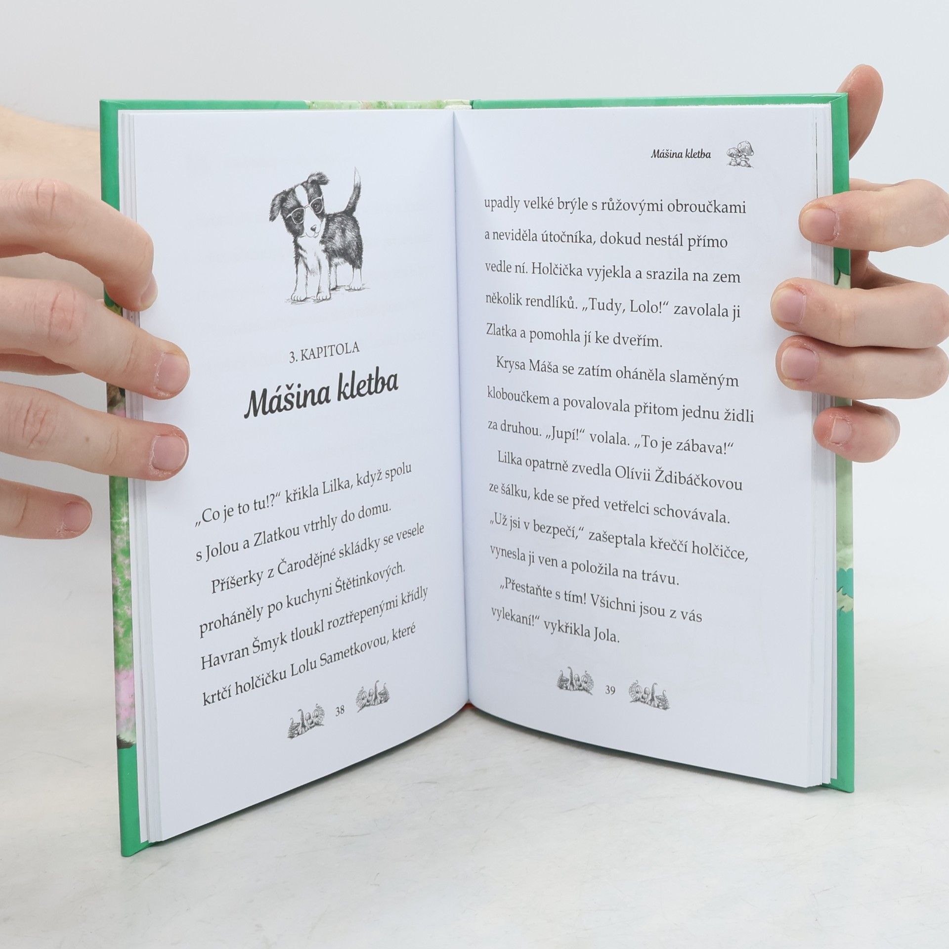 Daisy Meadows Velké překvapení Evky Štětinkové. Kamarádky kouzelných zvířátek