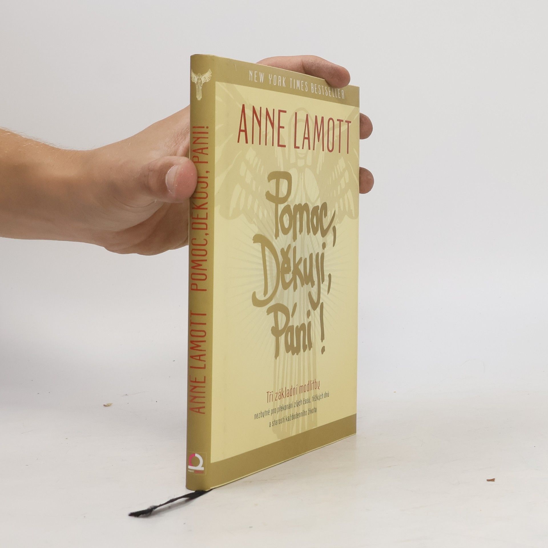 Anne Lamott Pomoc, Děkuji, Páni!