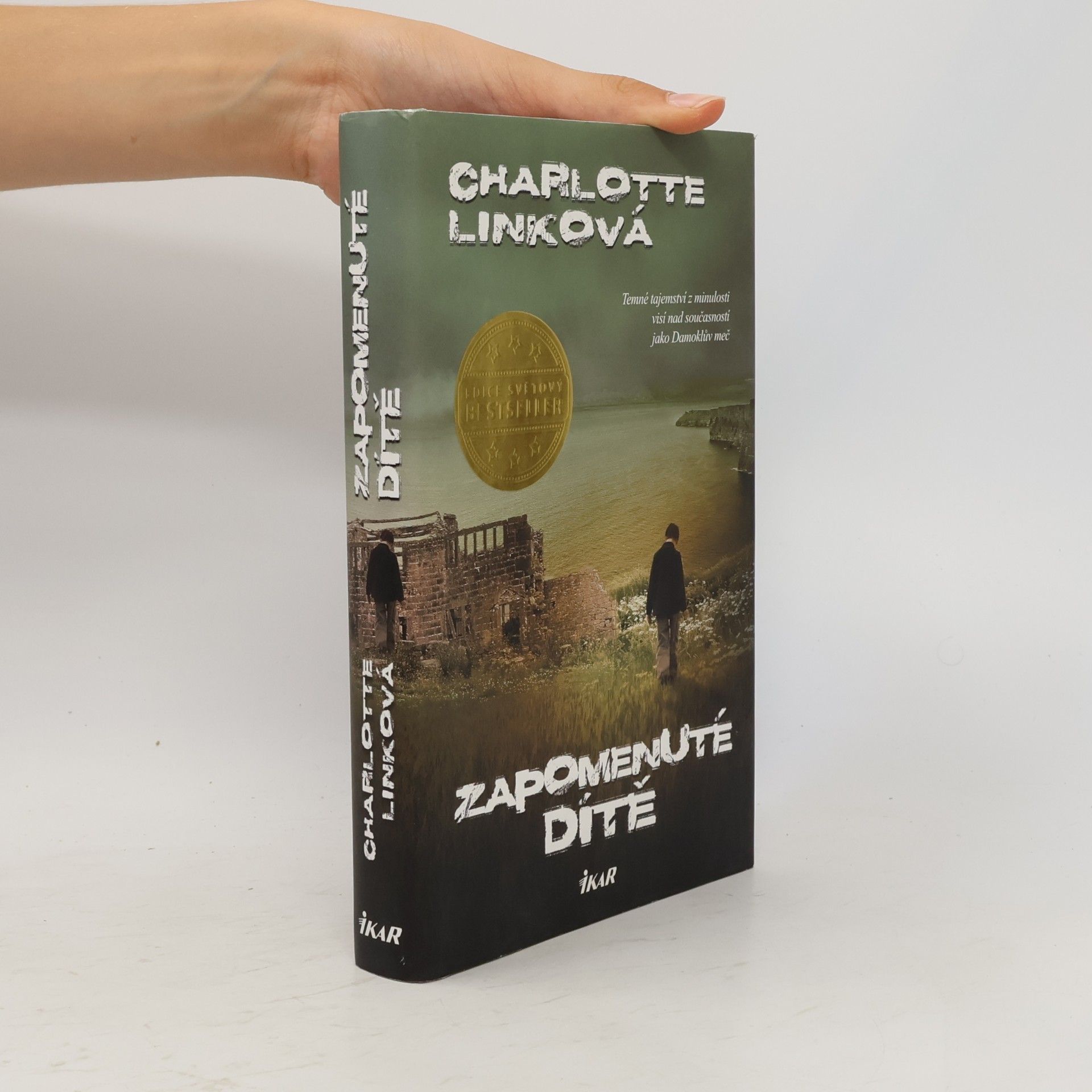 Charlotte Link Zapomenuté dítě