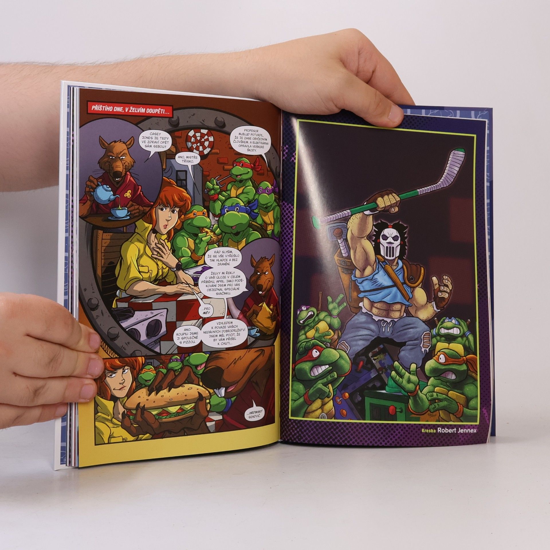Erik Burnham Teenage mutant ninja turtles. Želvy nindža. Nová dobrodružství