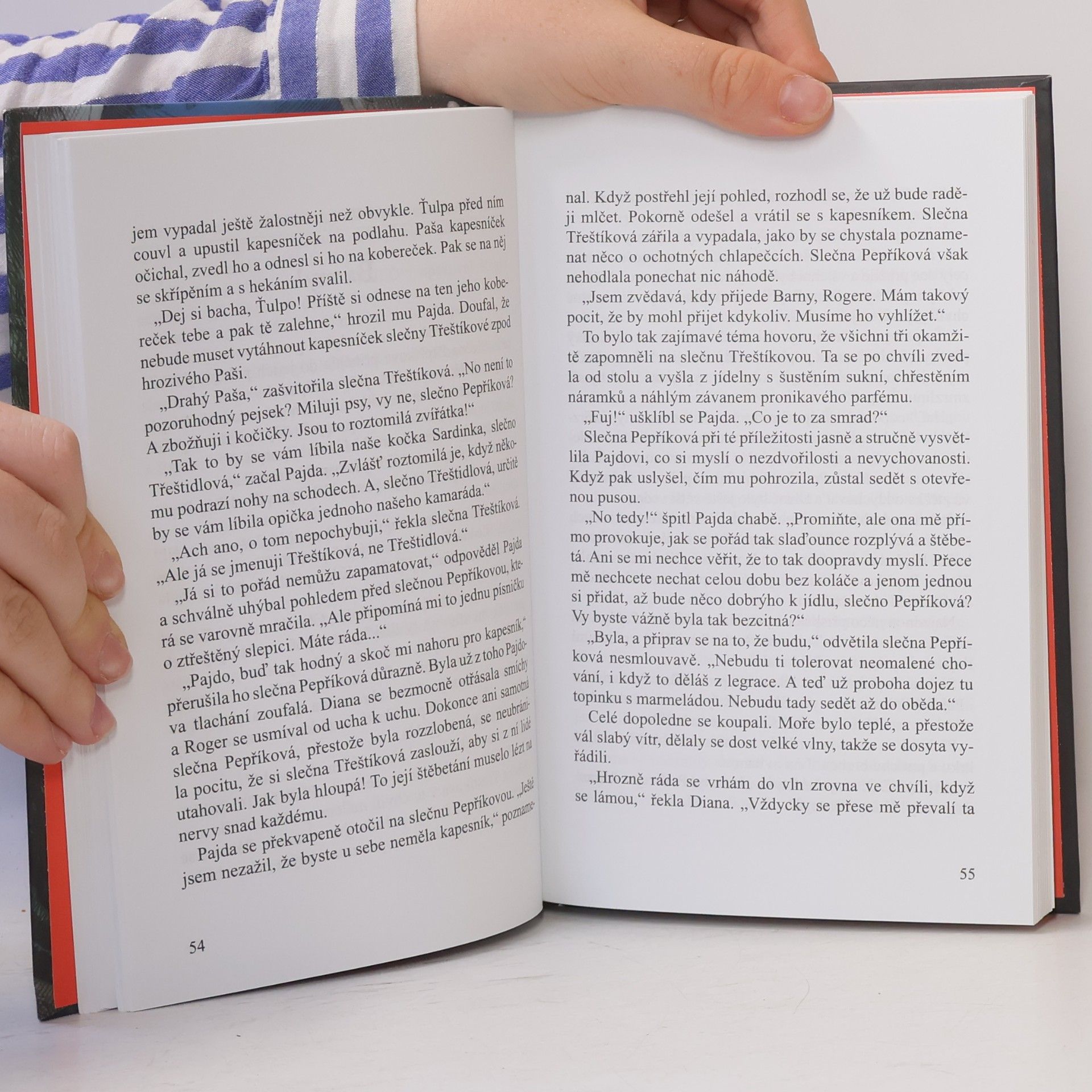Enid Blyton Záhada tajného přístavu