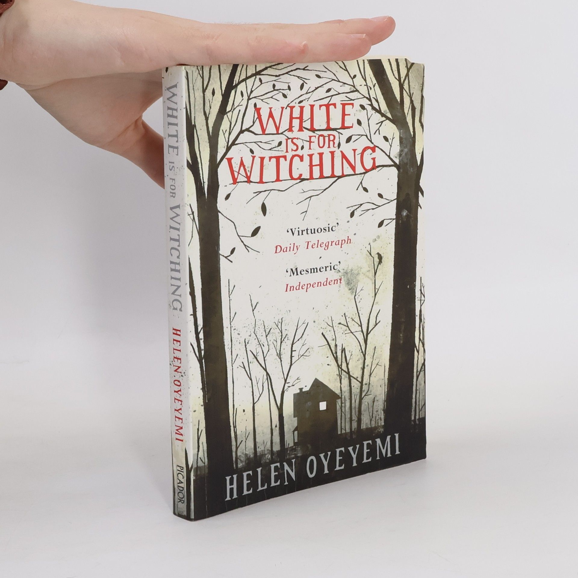 Helen Oyeyemi White is for Witching