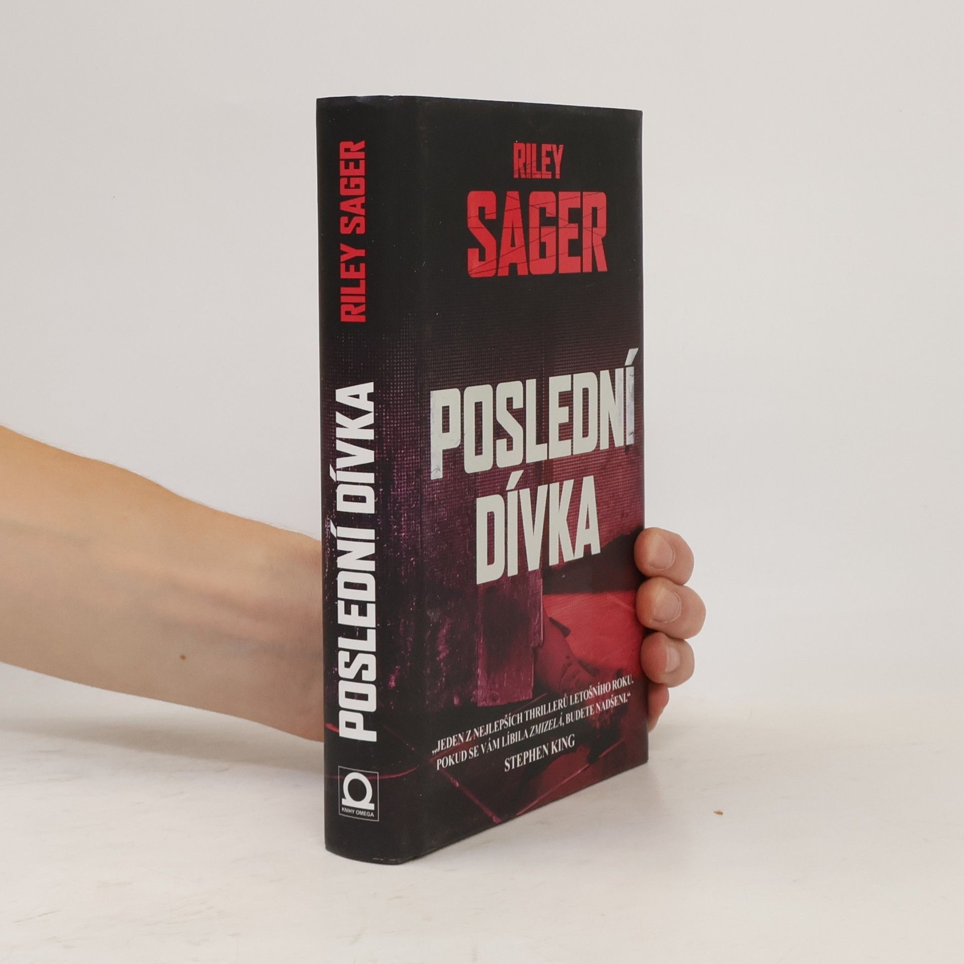 Todd Ritter Poslední dívka