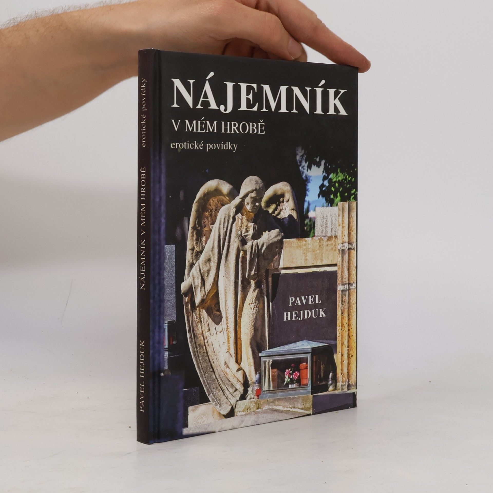 Pavel Hejduk Nájemník v mém hrobě. Erotické povídky