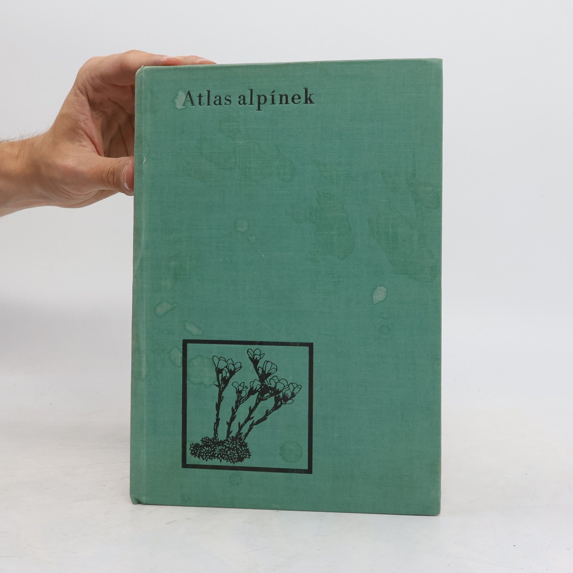 Albert Pilát Atlas alpínek
