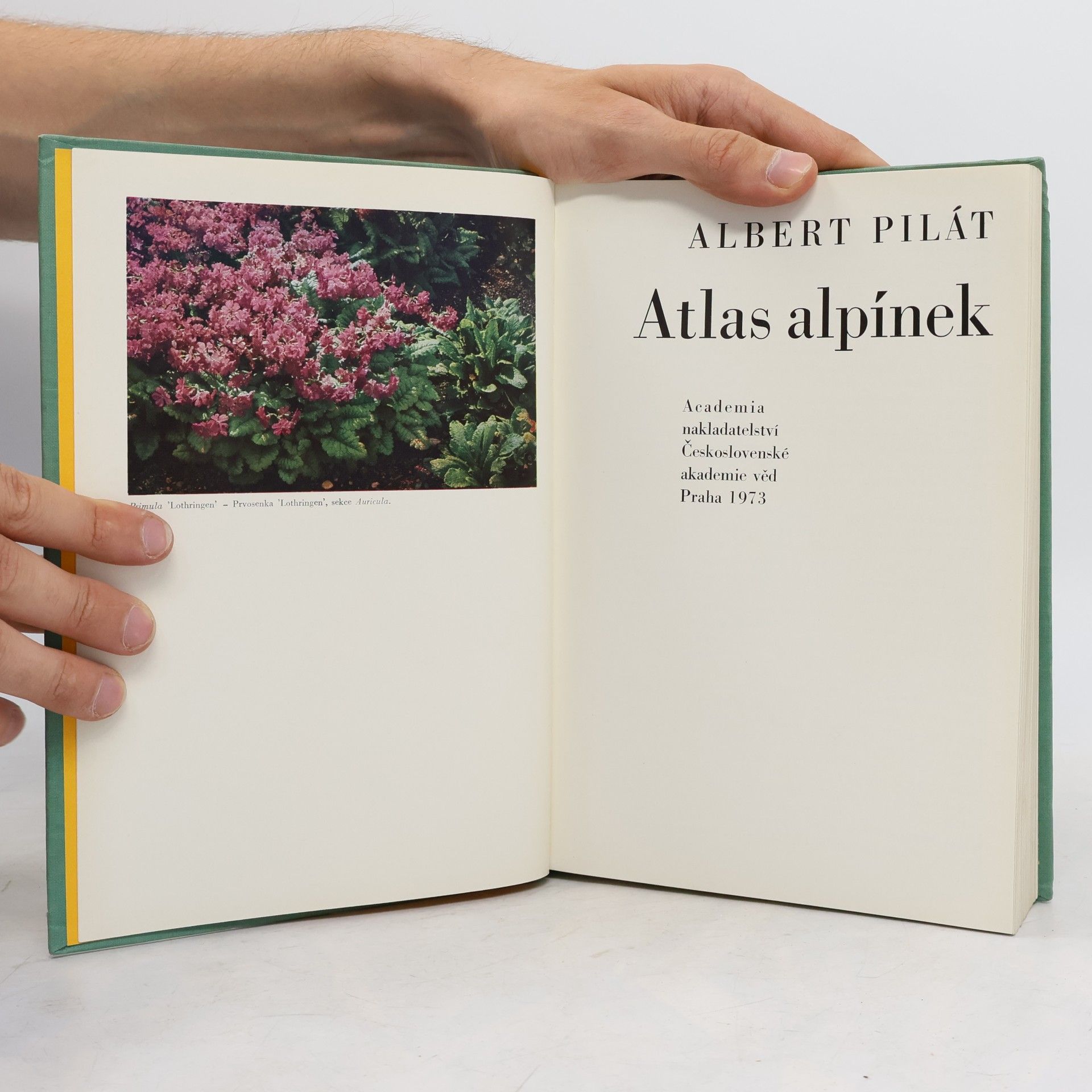 Albert Pilát Atlas alpínek