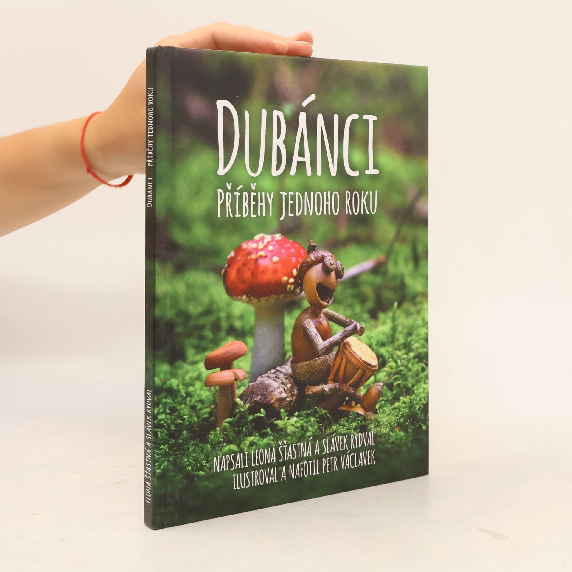 Slávek Rydval Dubánci: Příběhy jednoho roku