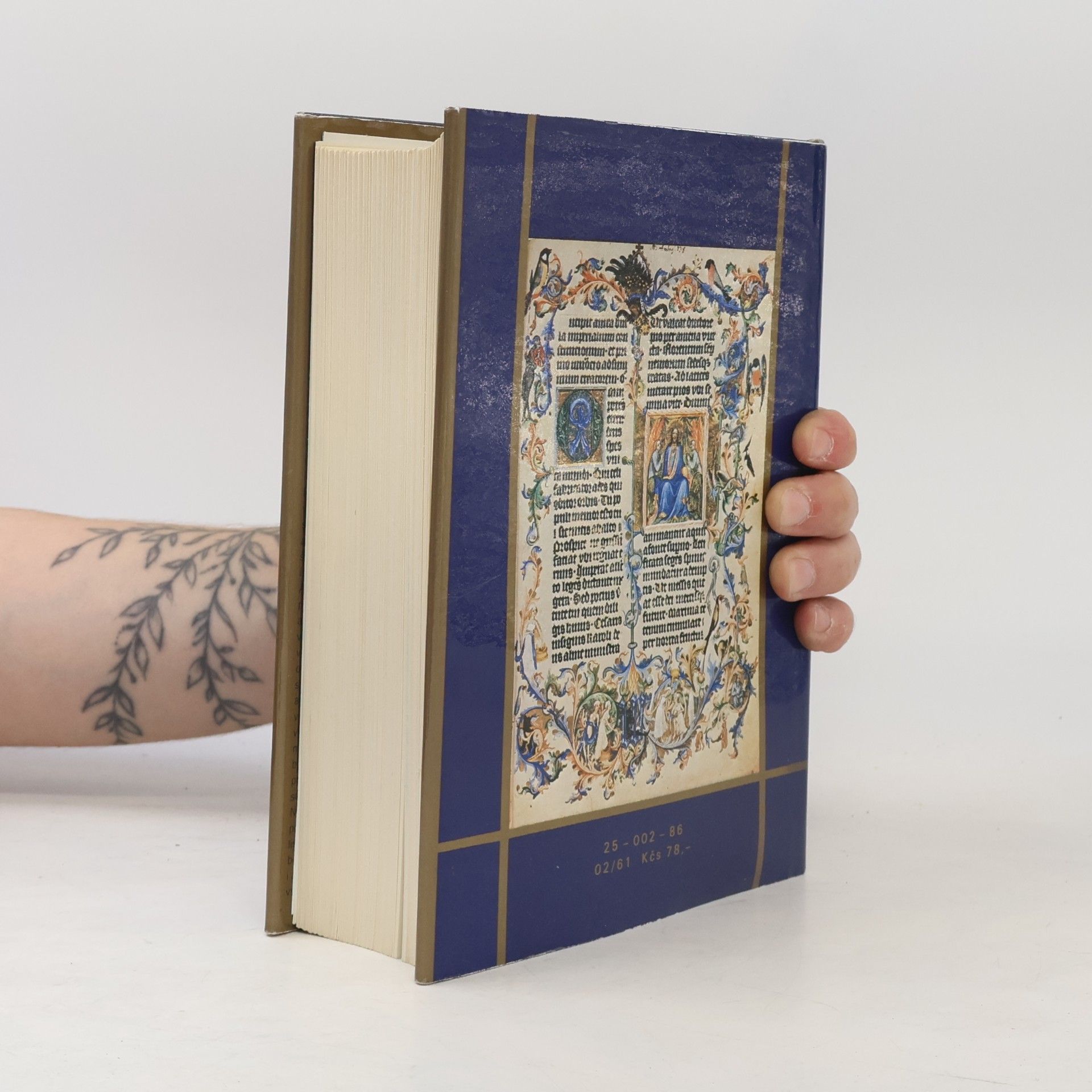 Jiří Spěváček Václav IV. 1361-1419