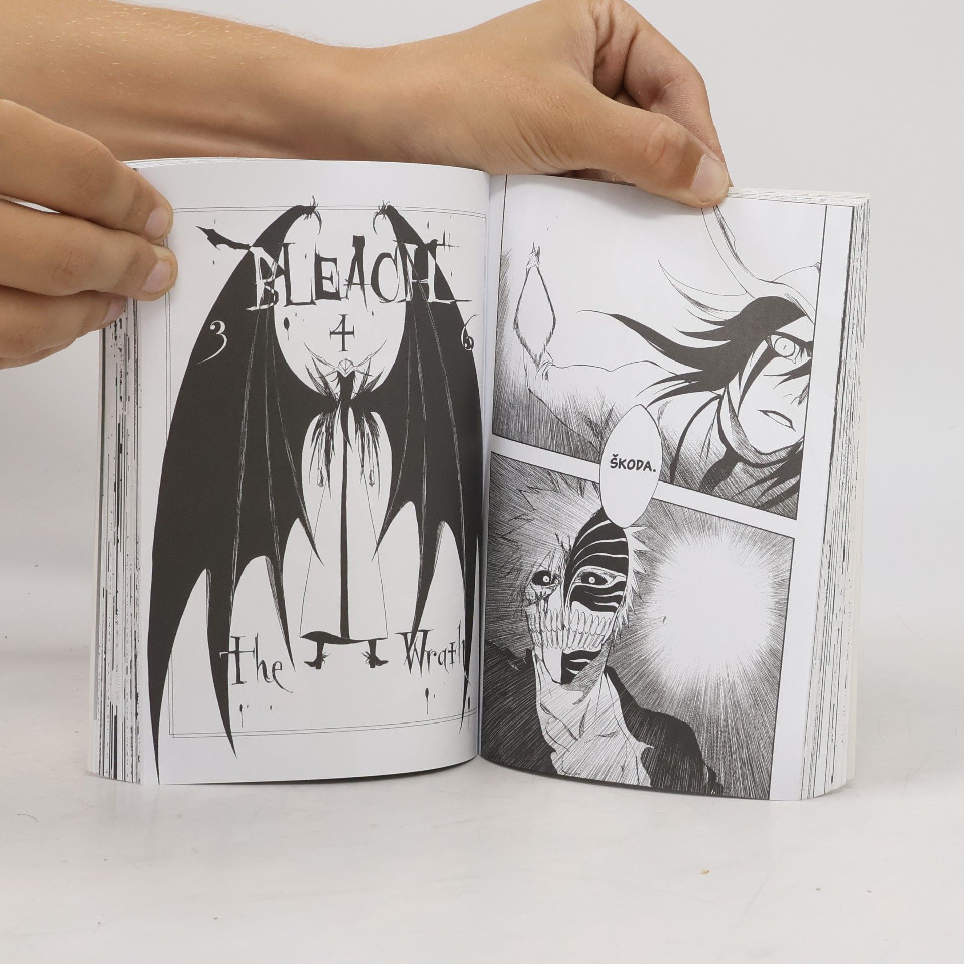 Tite Kubo Bleach 40. The Lust
