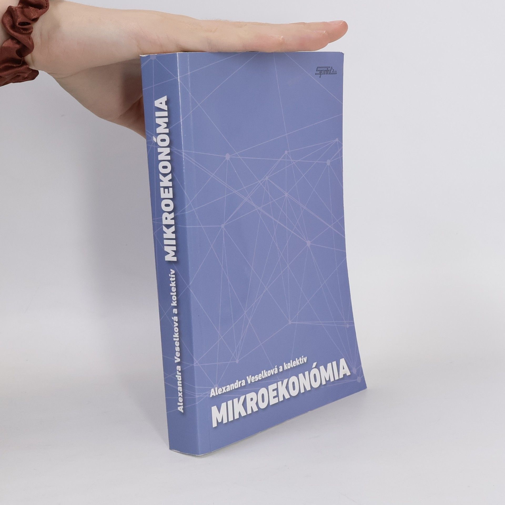 Vieroslava Holková Mikroekonómia