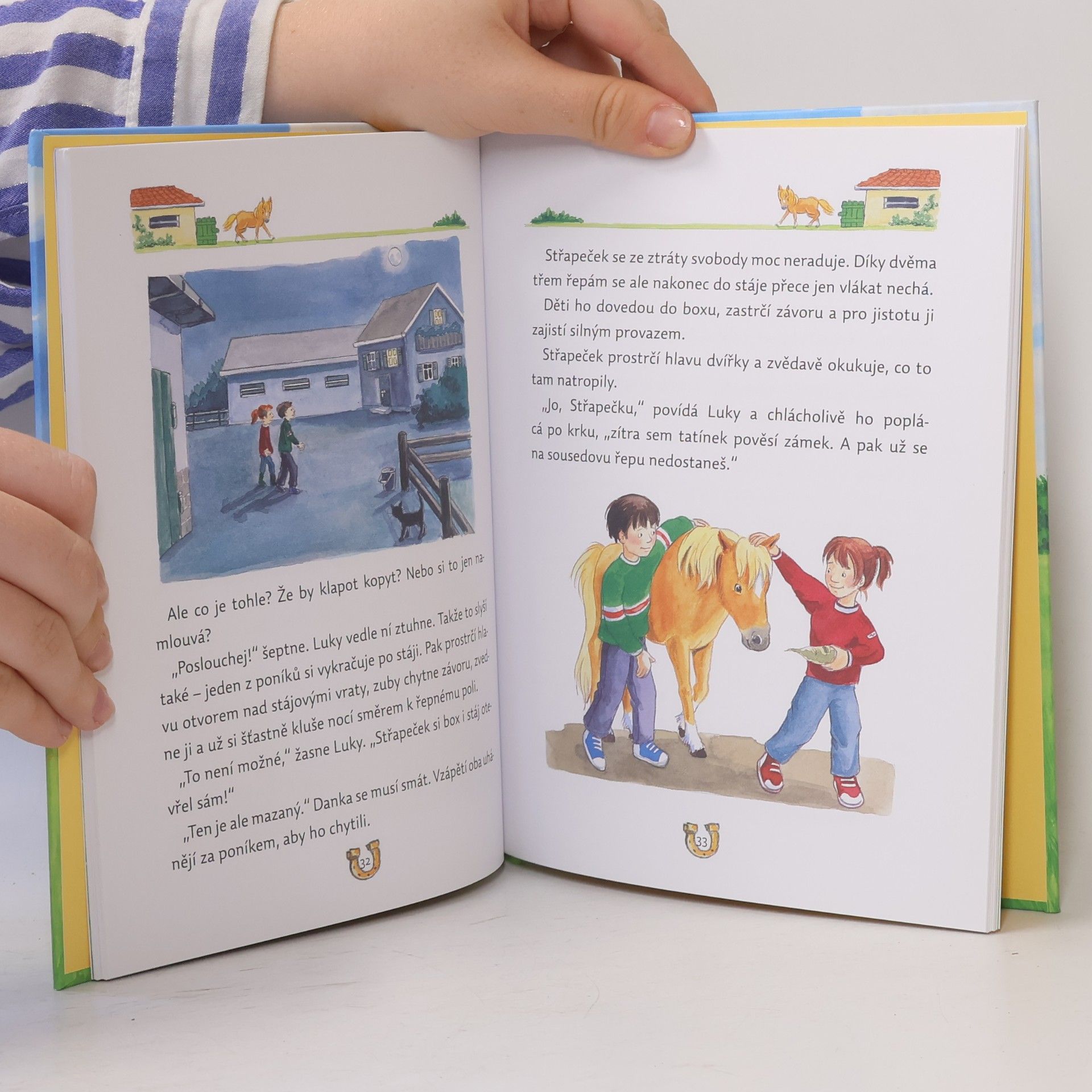 Luise Holthausen Příběhy o koních a ponících