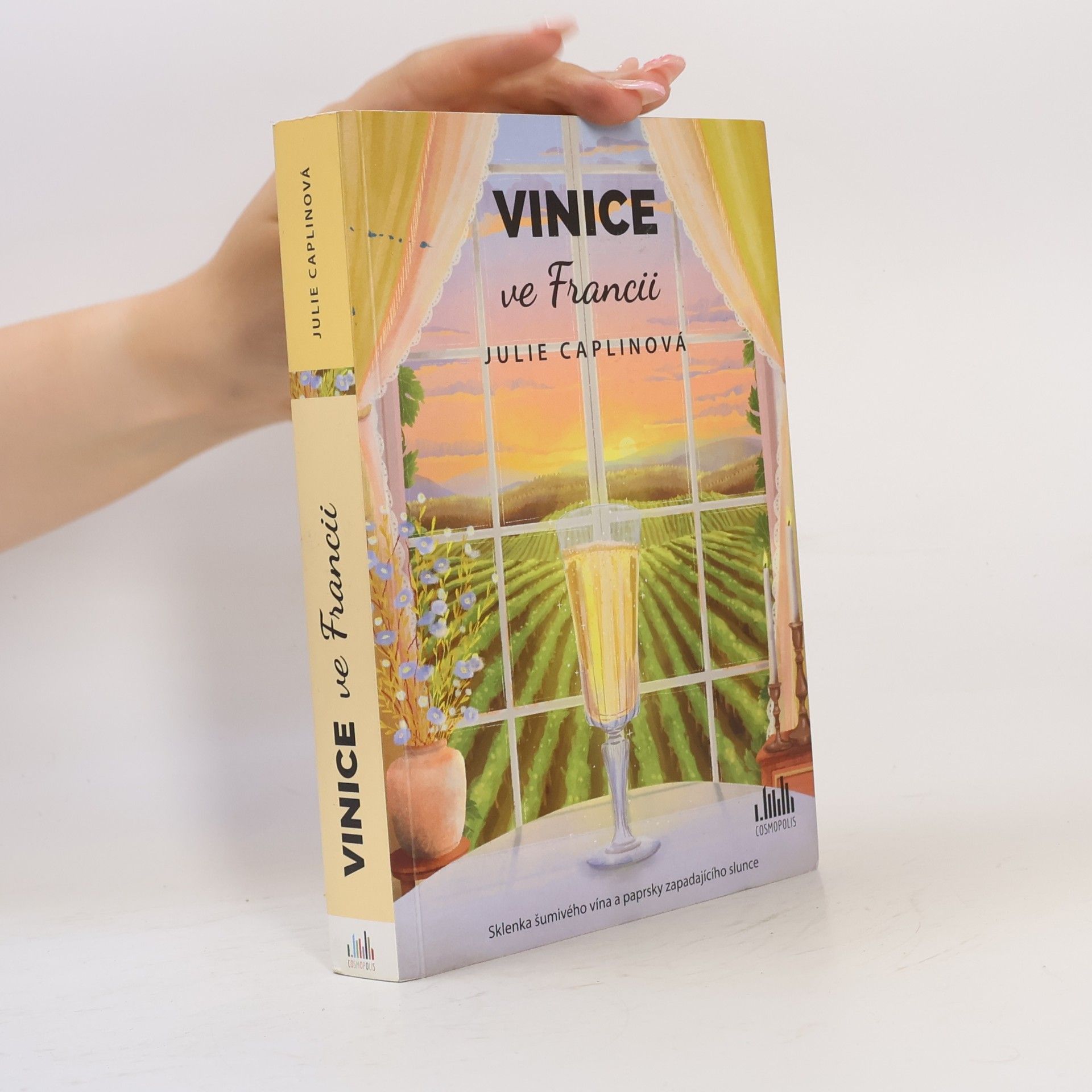 Julie Caplin Vinice ve Francii