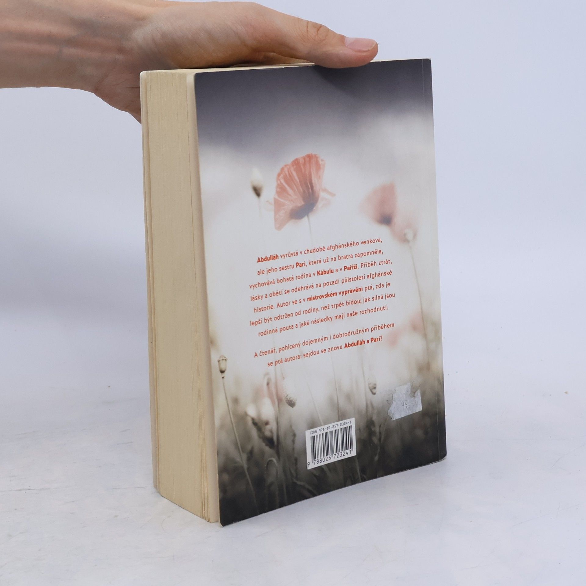 Khaled Hosseini A hory odpověděly