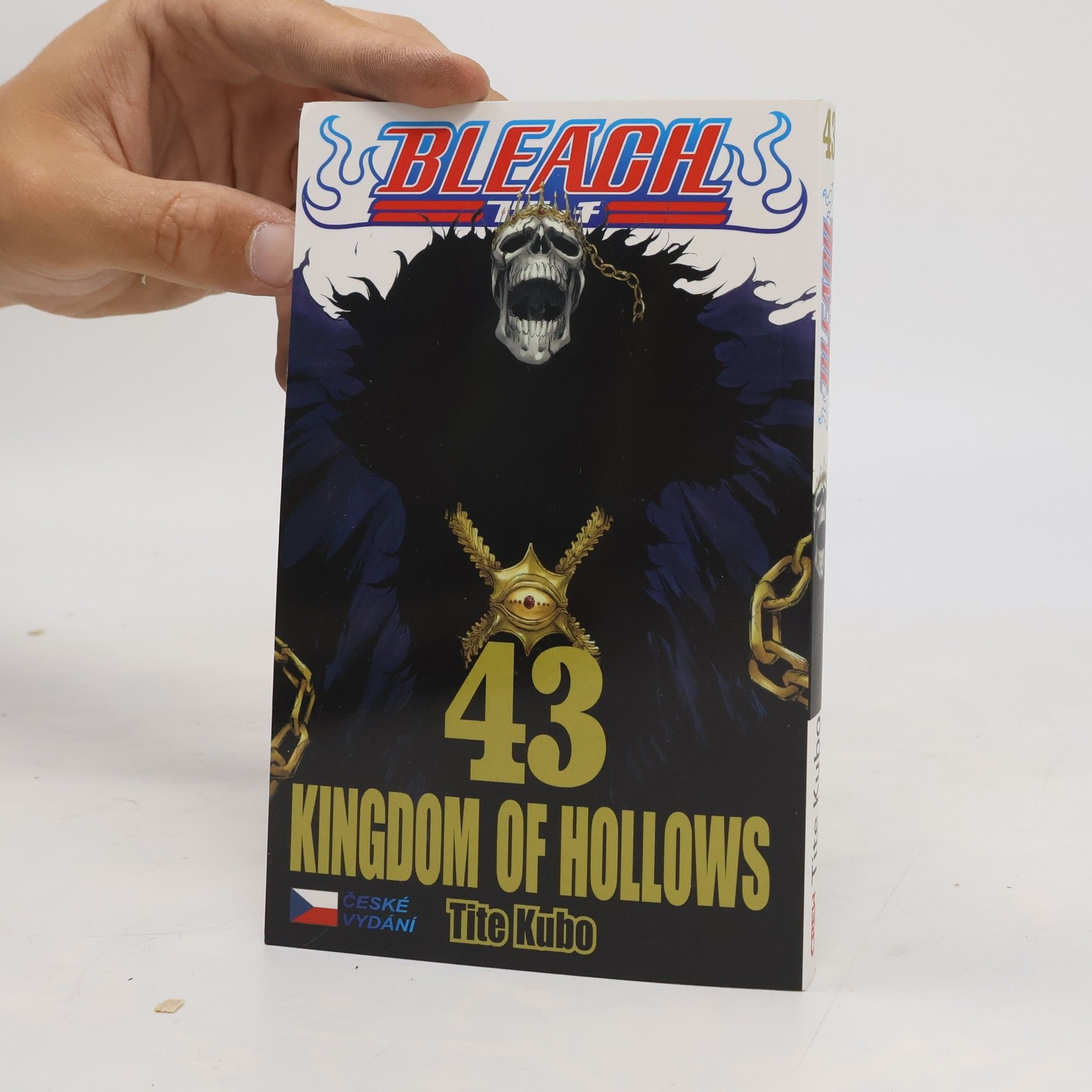 Anna Křivánková Bleach 43. Kingdom of Hollows