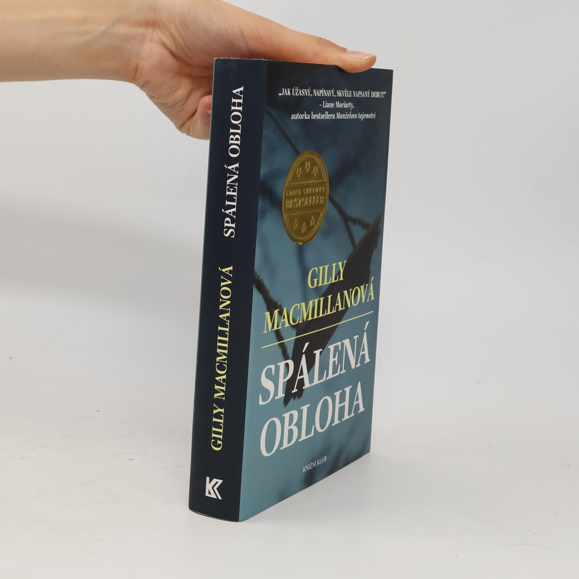 Gilly Macmillan Spálená obloha