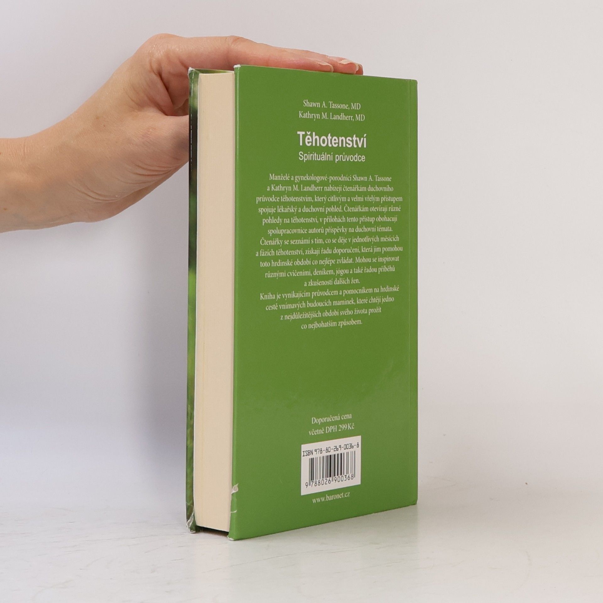 Shawn A. Tassone Těhotenství. Spirituální průvodce