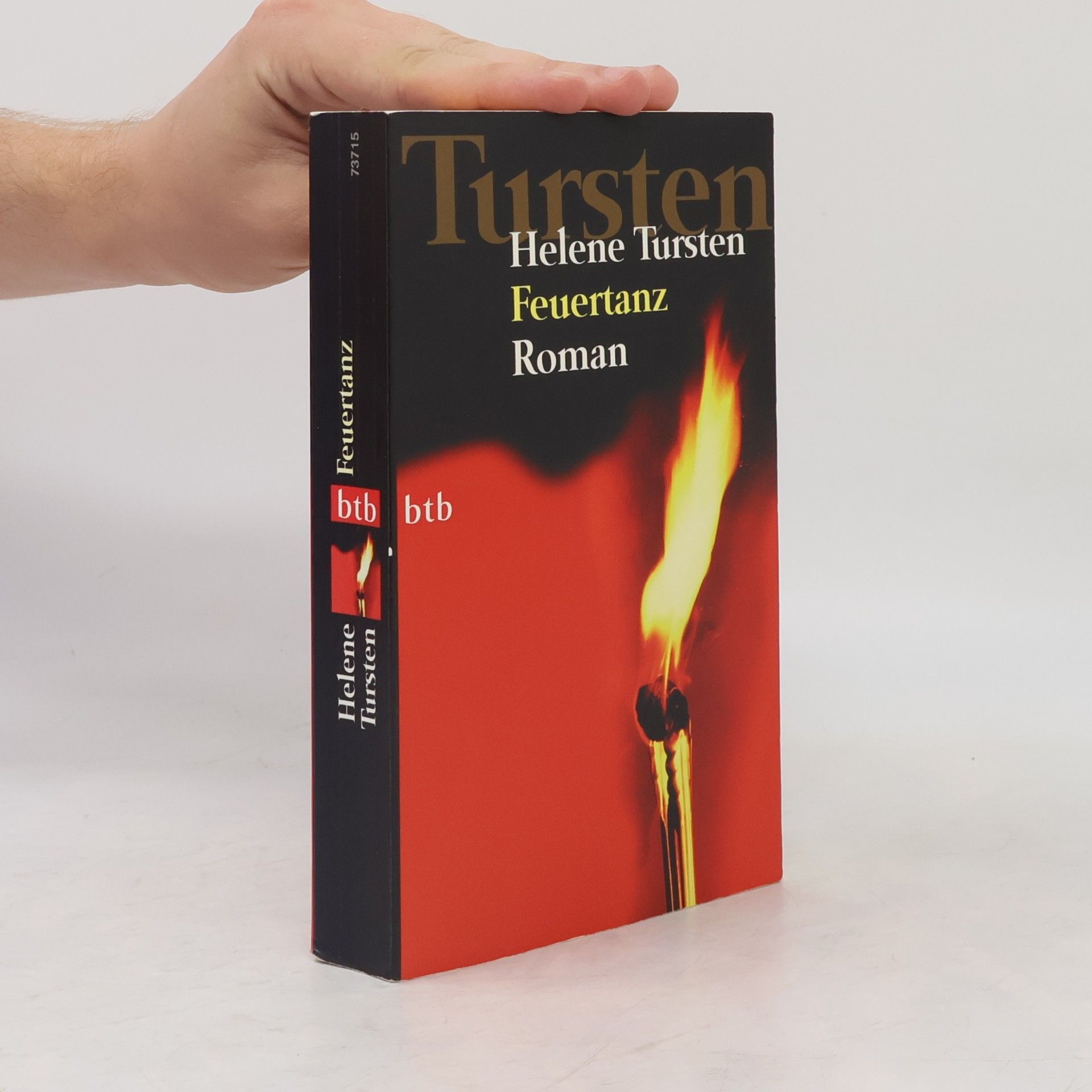 Helene Tursten Feuertanz