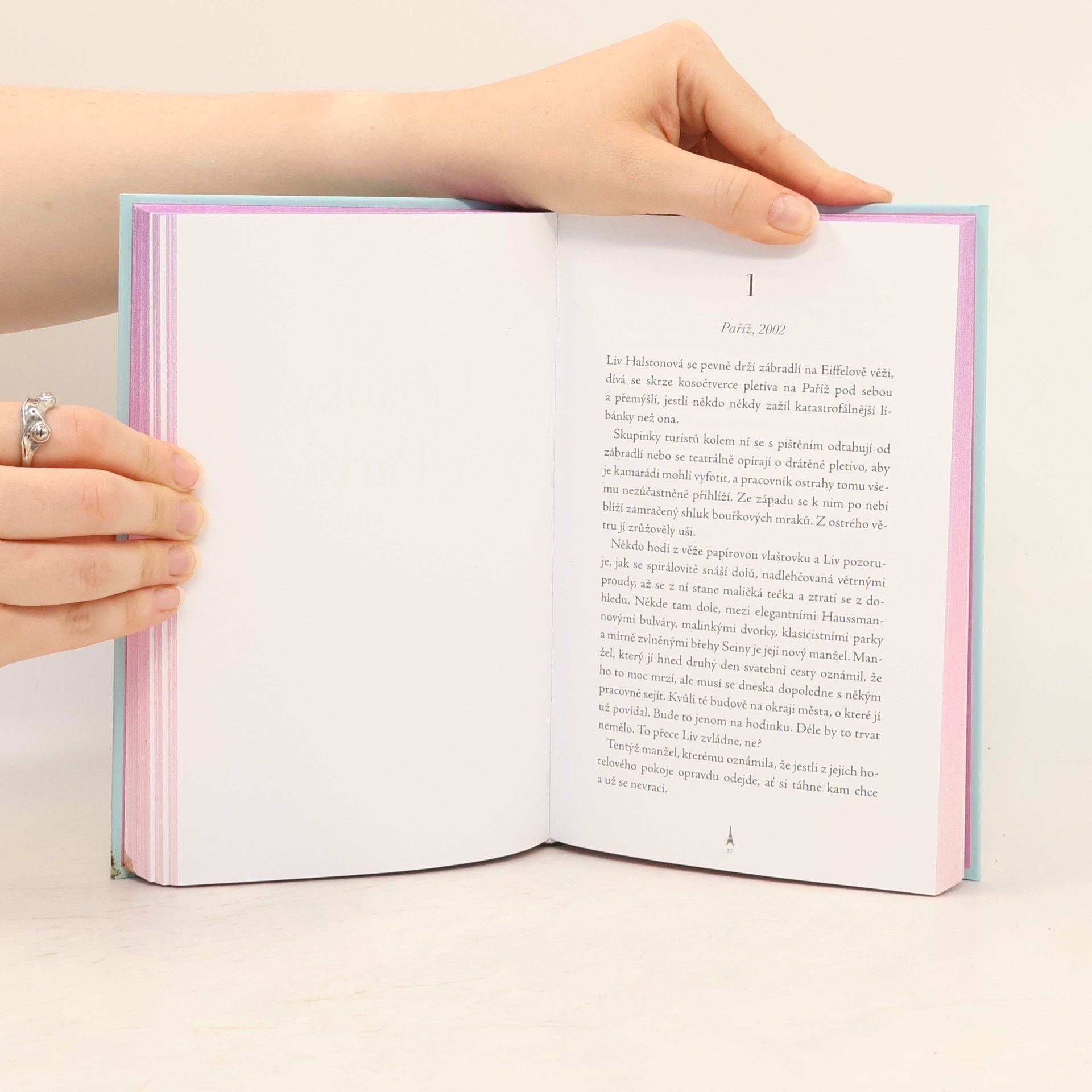Jojo Moyes Paříž pro jednoho a jiné povídky